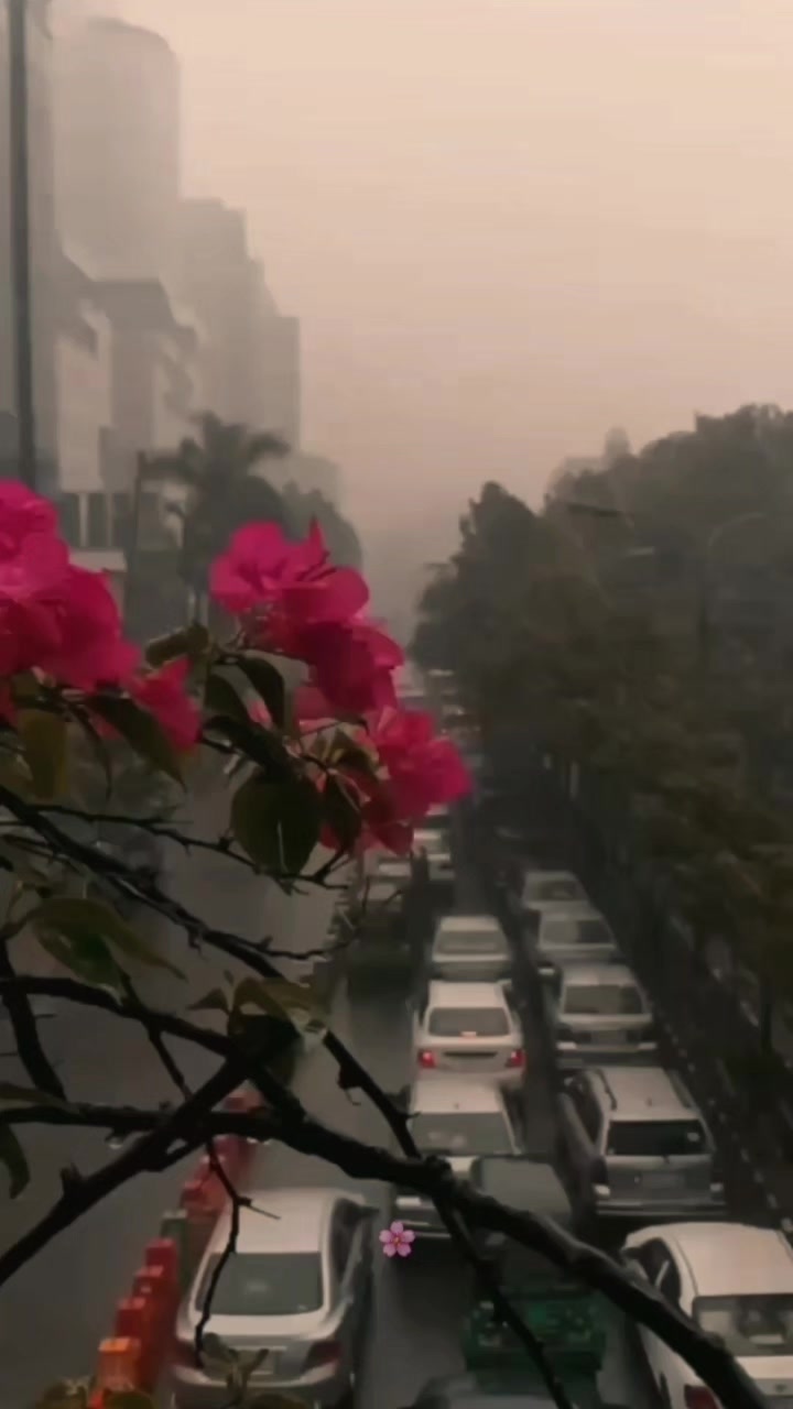 @꒰ঌ🌸໒꒱