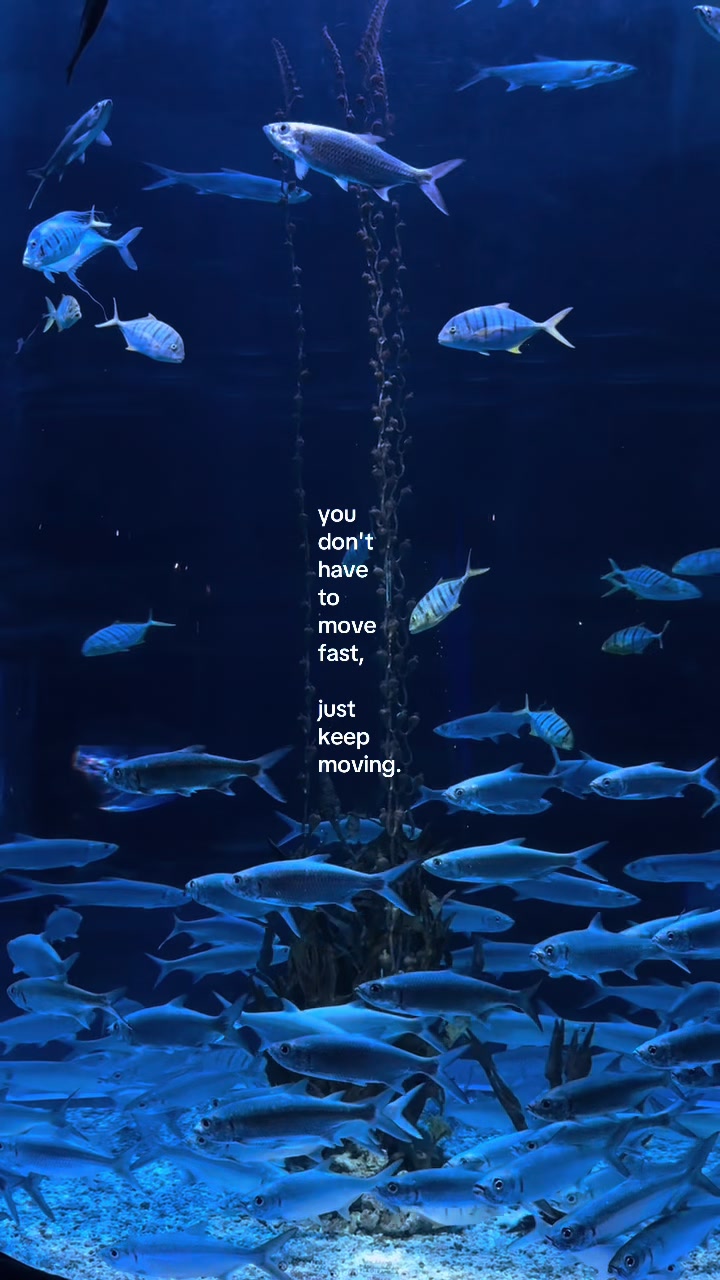 @something i couldn’t say
