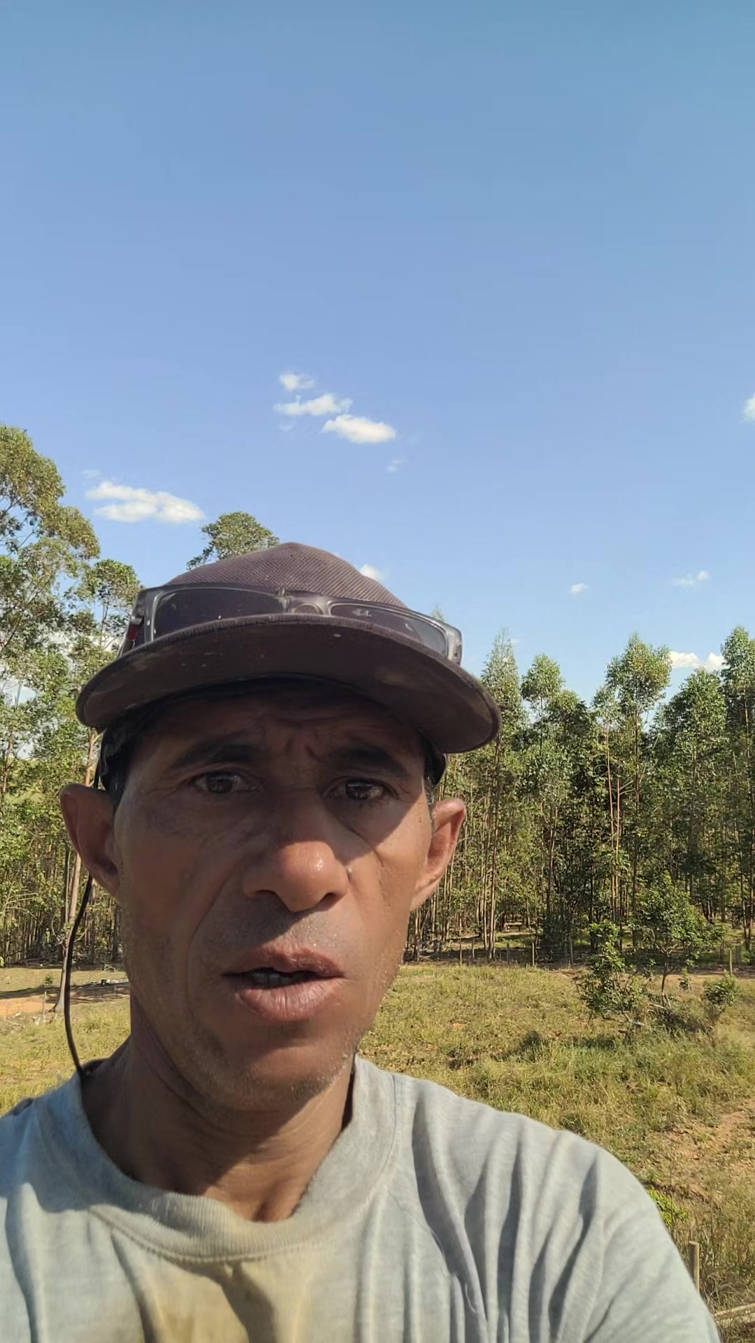 @Jos&eacute; Arlindo Ribeiro