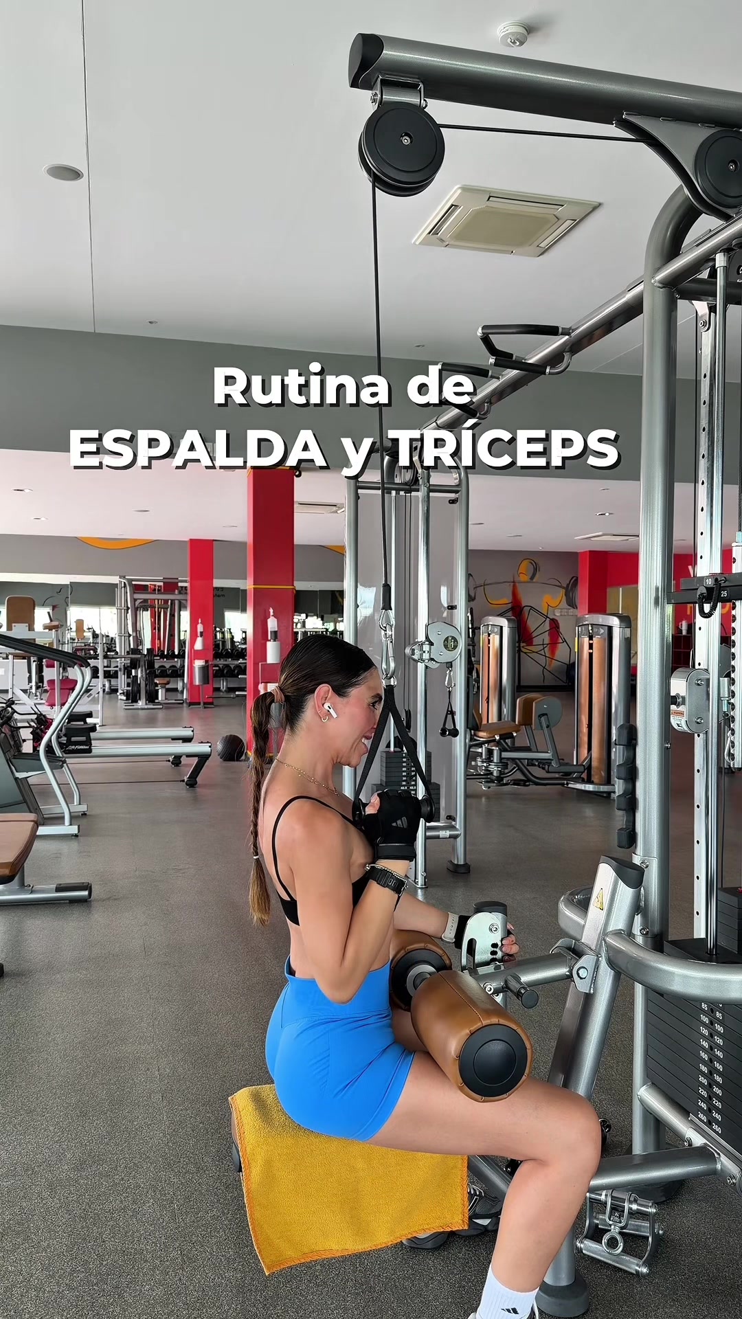 @alefitness