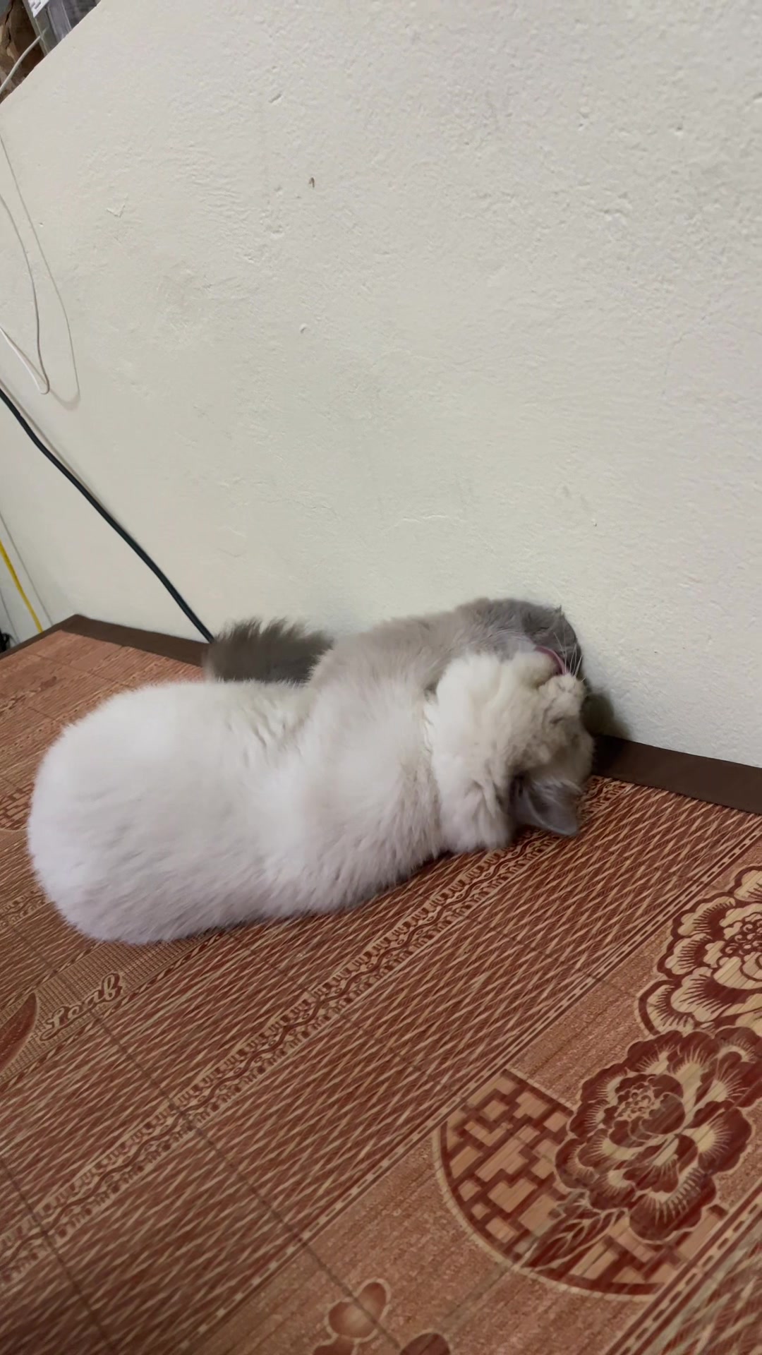 @Phạm Văn Thảo
