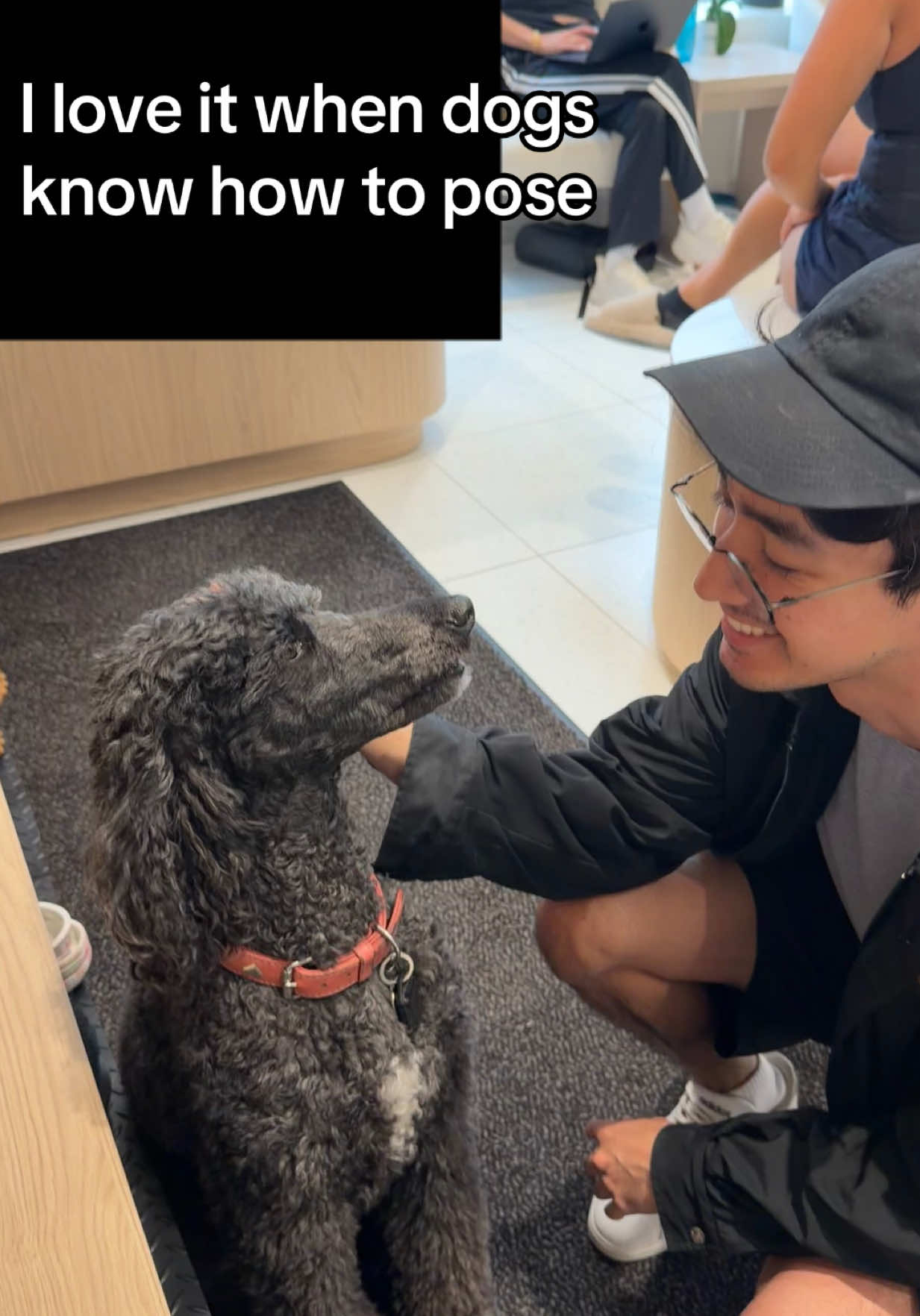 @Jinho | Oppa Bhai
