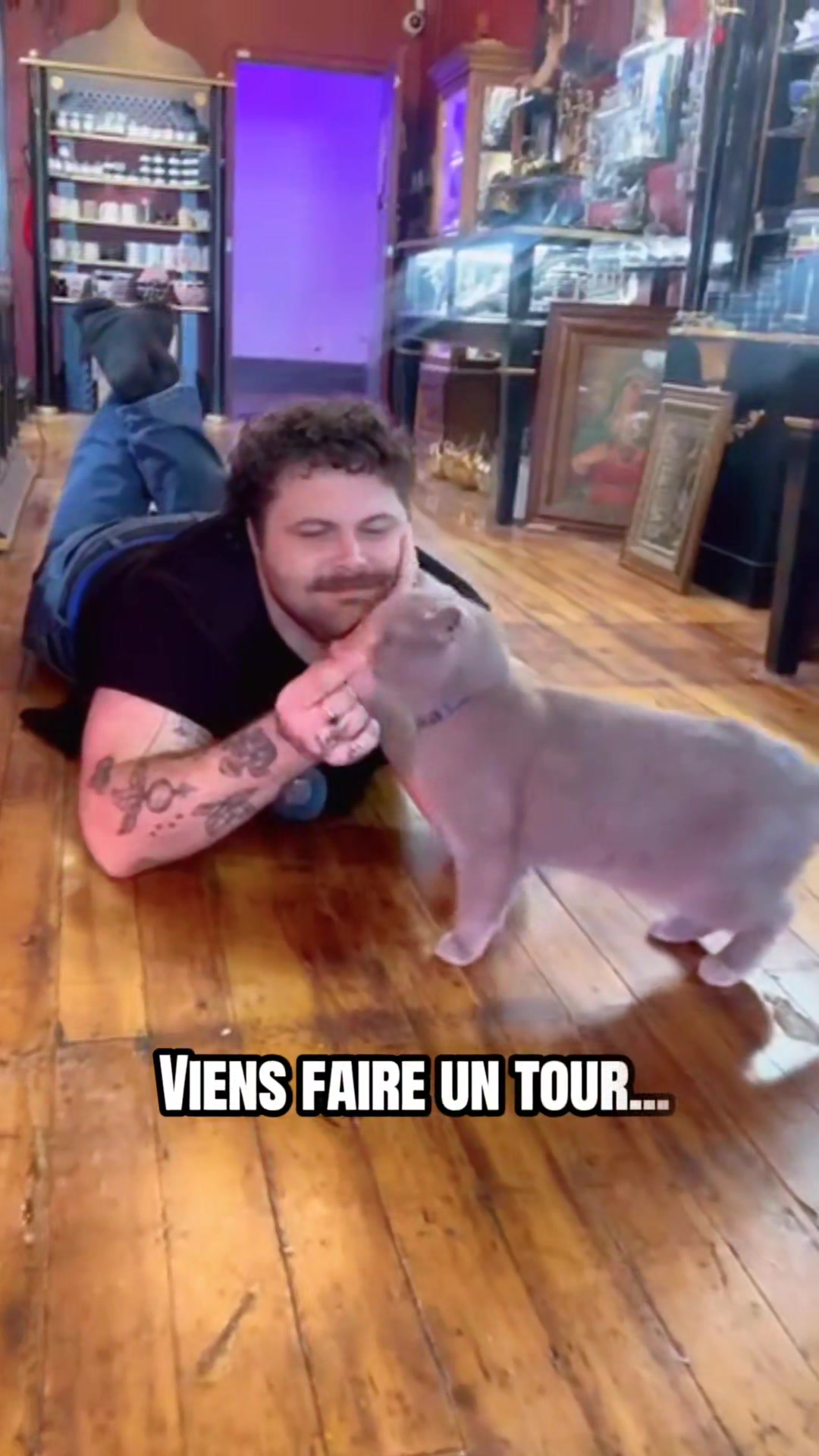 @Goth Shop MTL