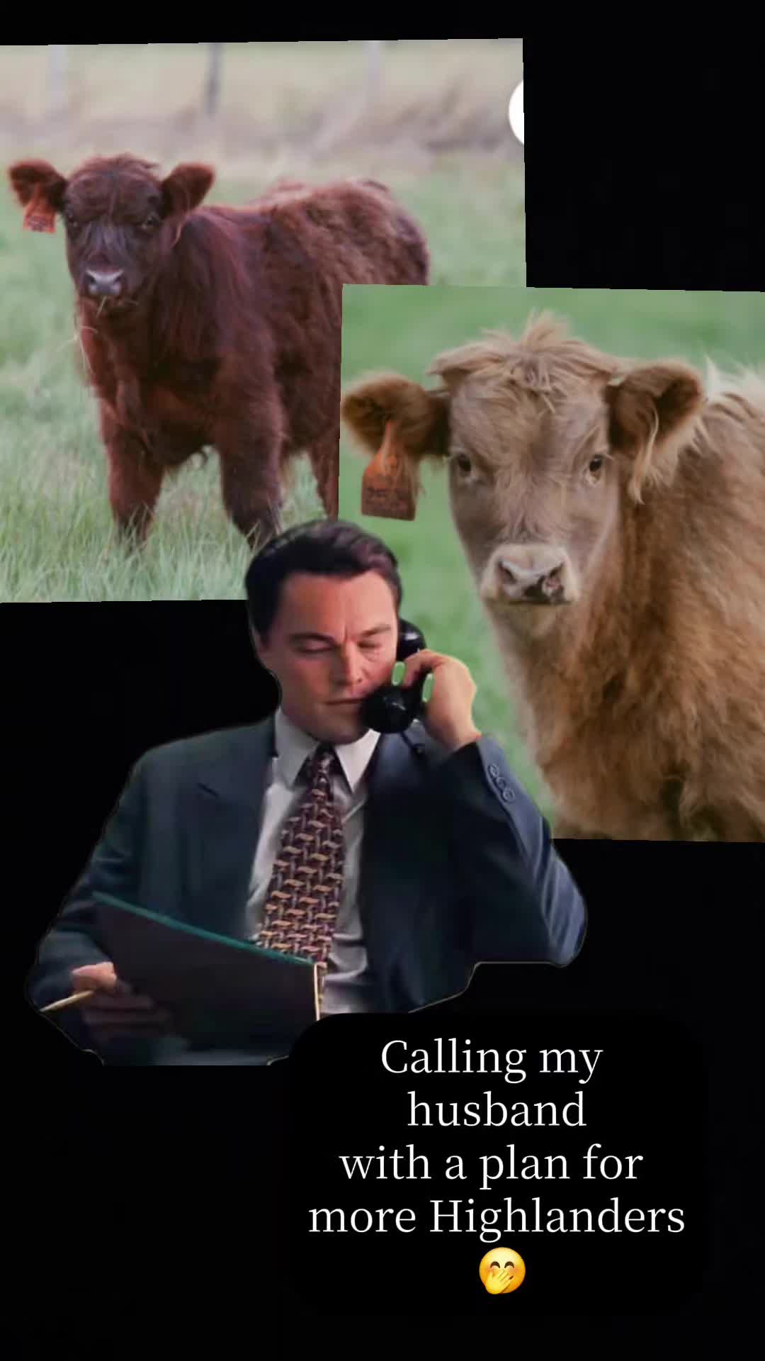 @Kayla Helm