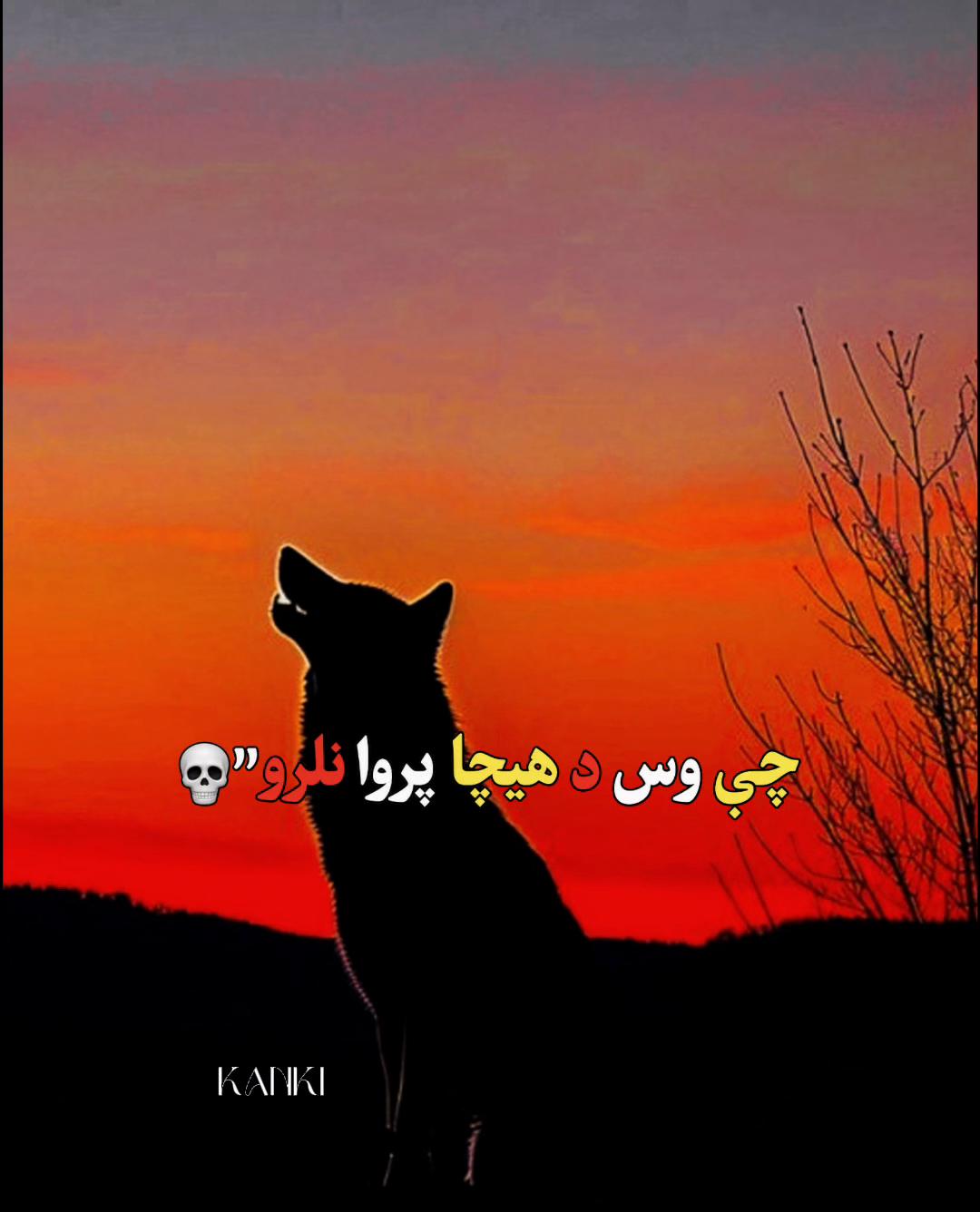 @SALAR KANKI