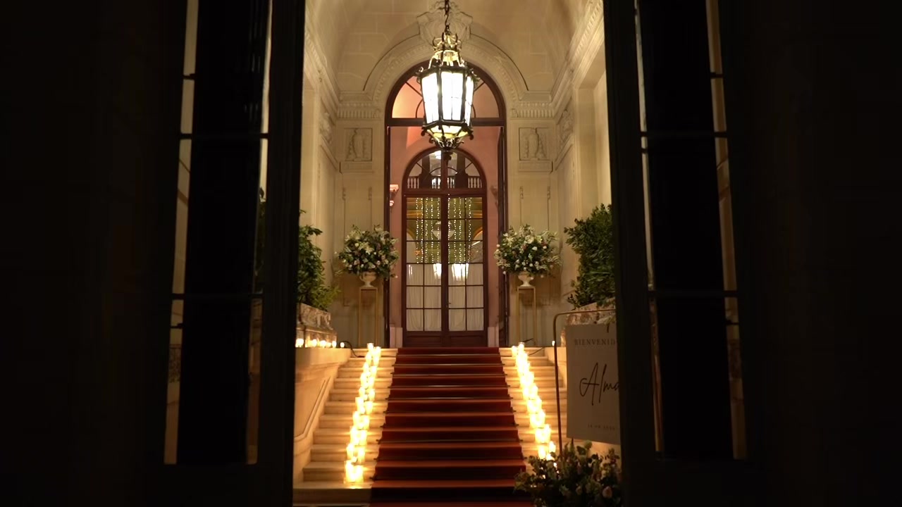 @alma micieli