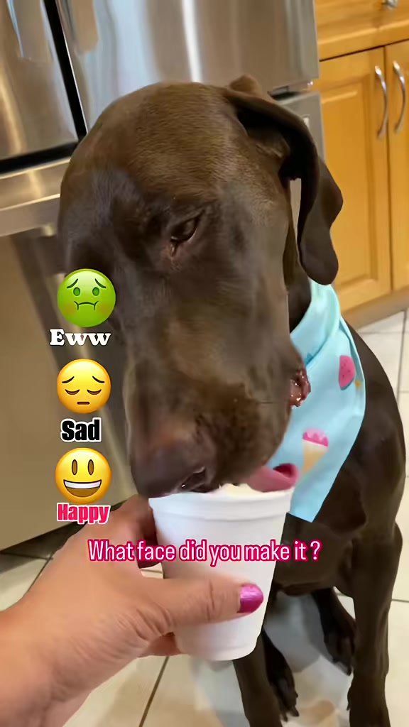 @Rocky_and_mom ๐พโค๏ธ๐ถ