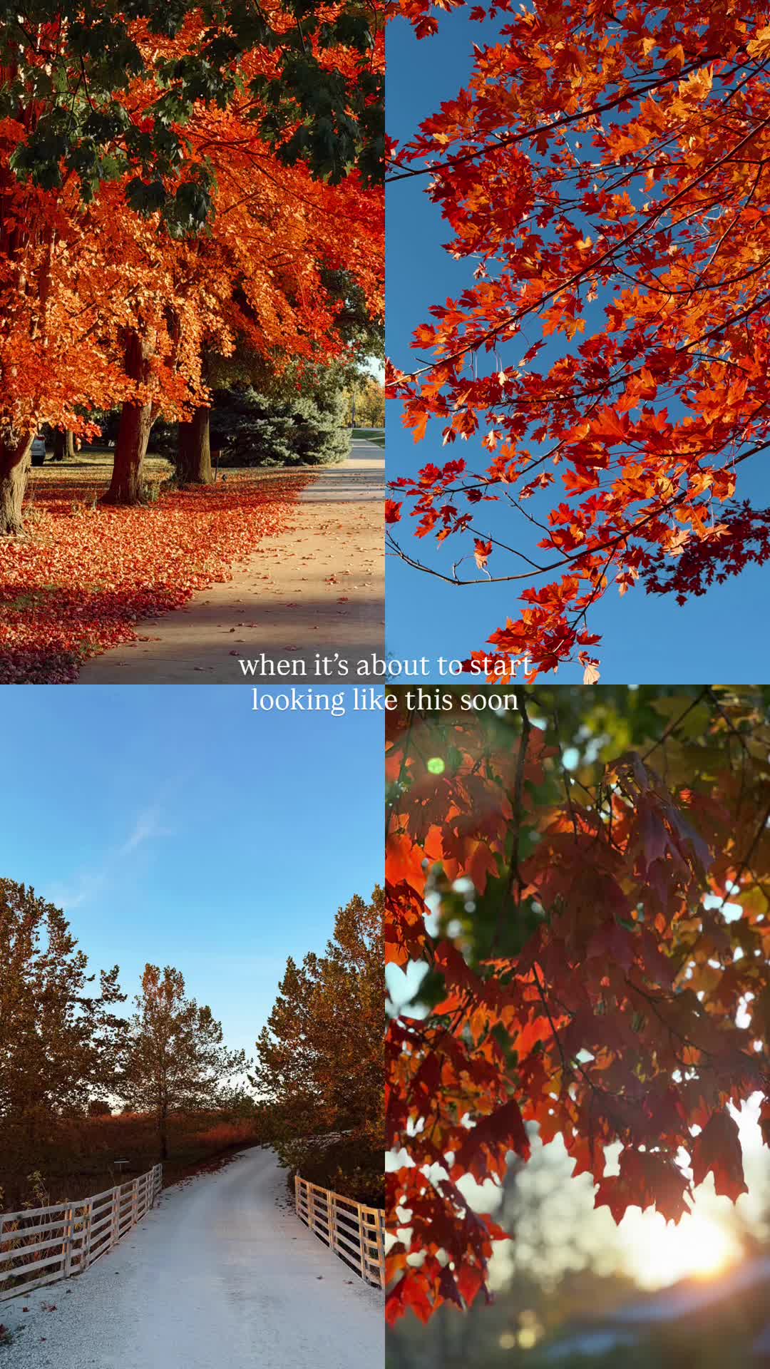 @R A Y N E