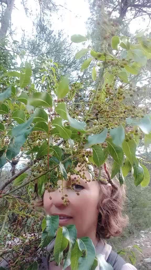 @20heidi