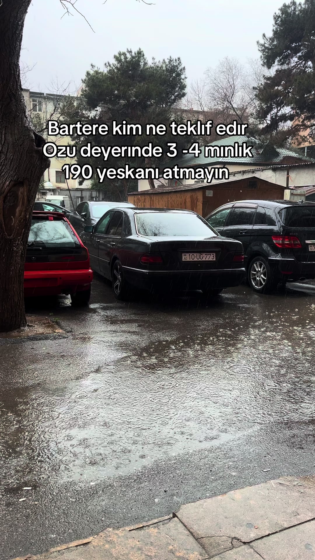 @𝐸𝑙𝑣𝑖𝑛086