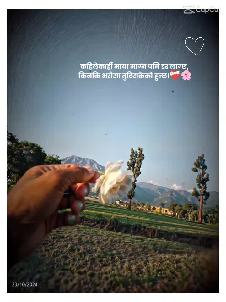 @Maya lama
