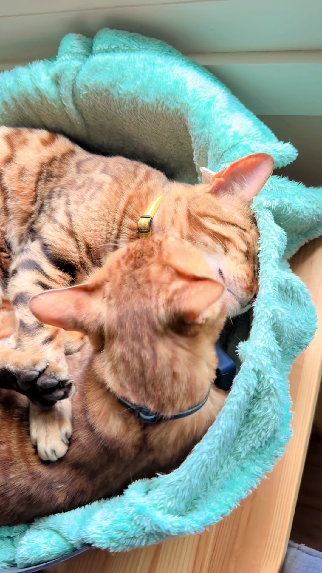 @Max Spaans