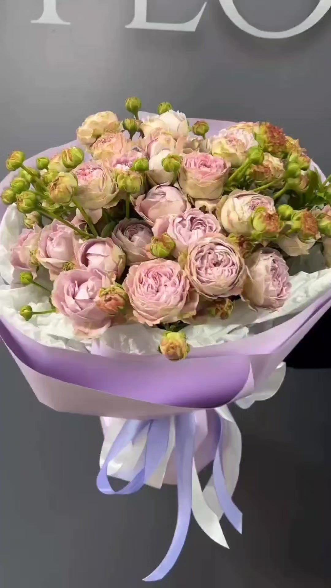 @Dominika
