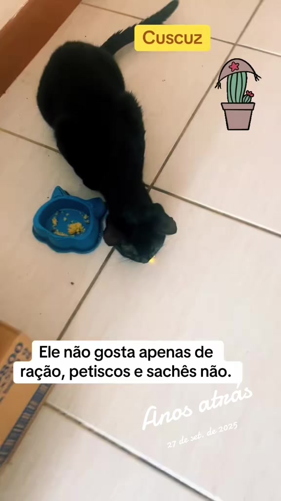@BAIANA POR A&Iacute; 🇫🇷🇧🇷