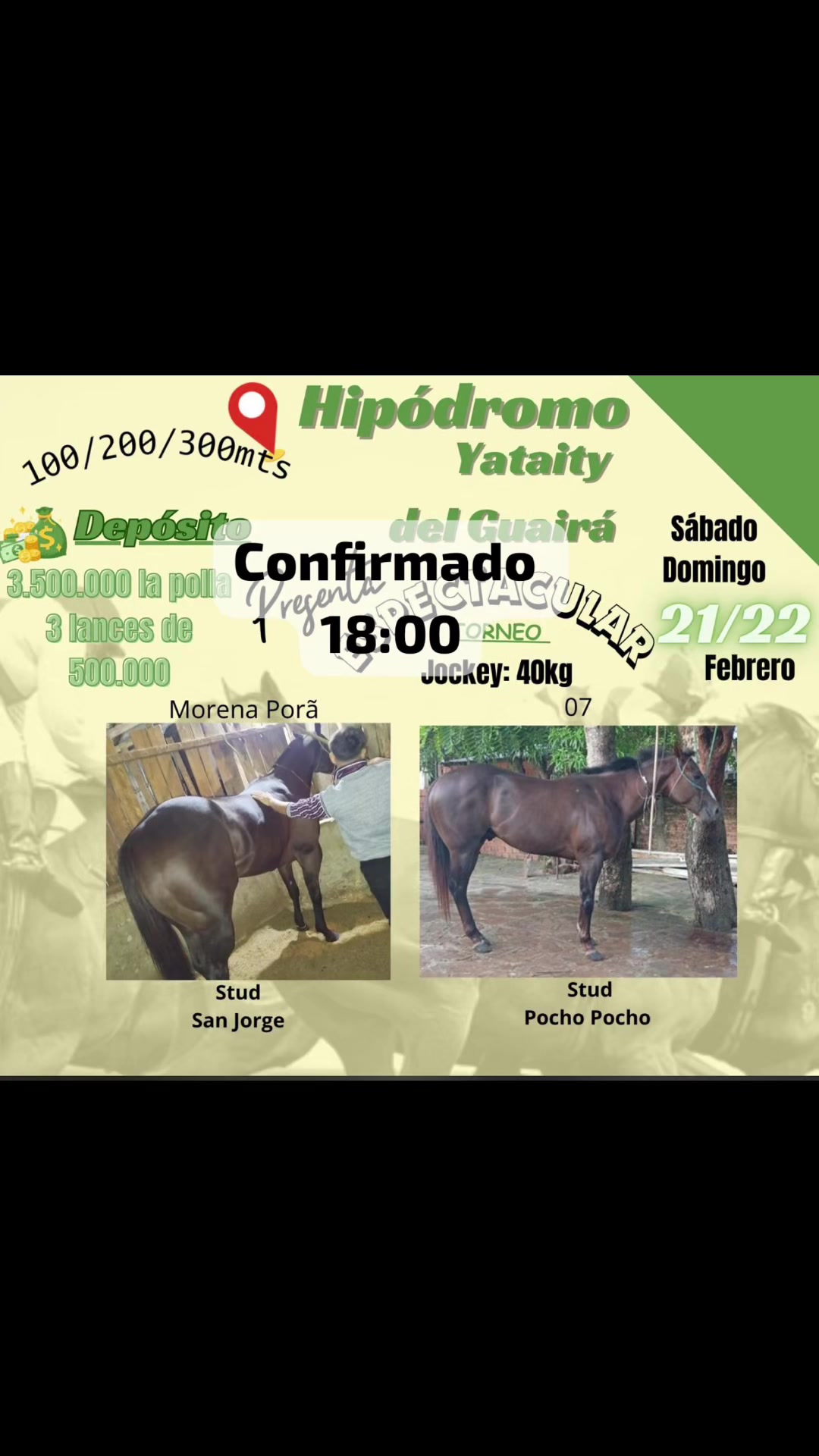 @hip&oacute;dromo Yataity Guair&aacute;.