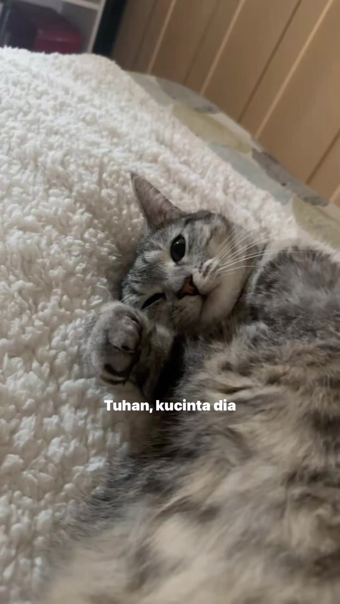 @^~^