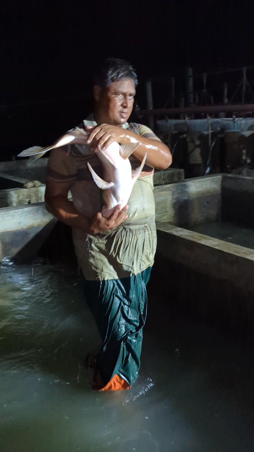 @Fish Lovers Bangladesh