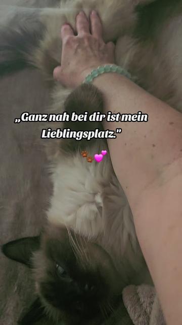 @Natalie 💞