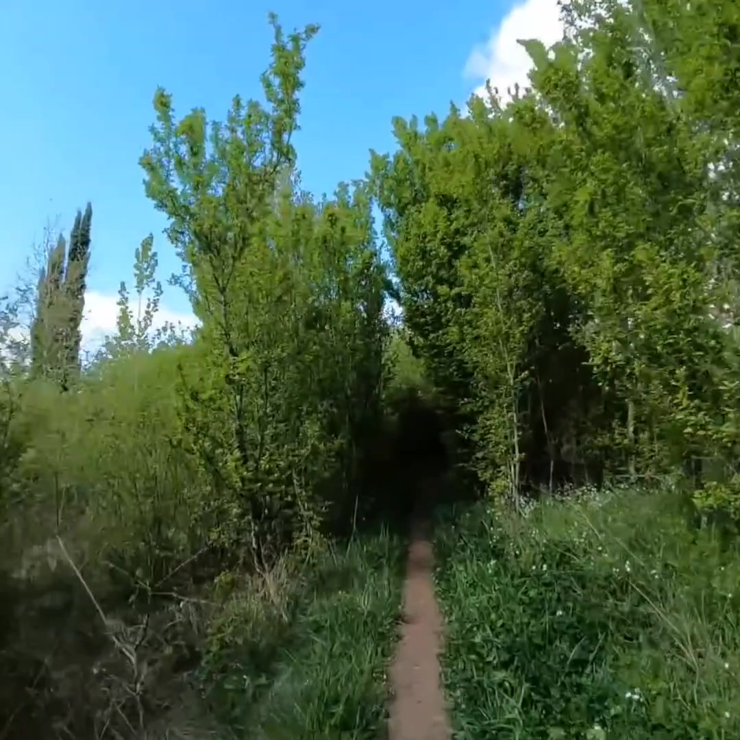 @гнилые крабовые чипсы🦀