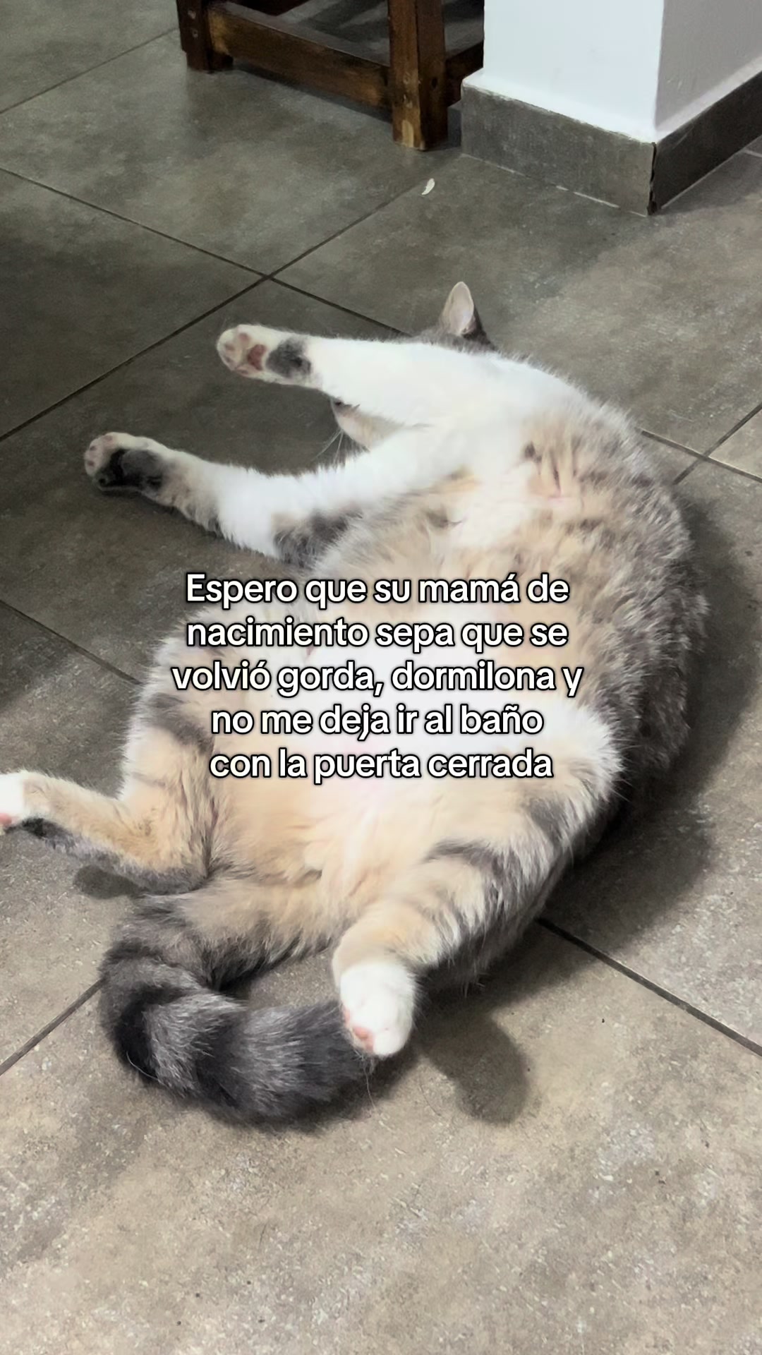 @Tami JL