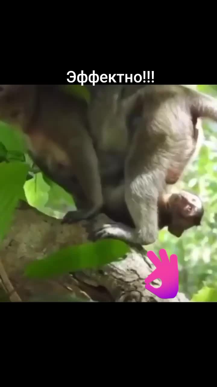 @BomBaLeila88888