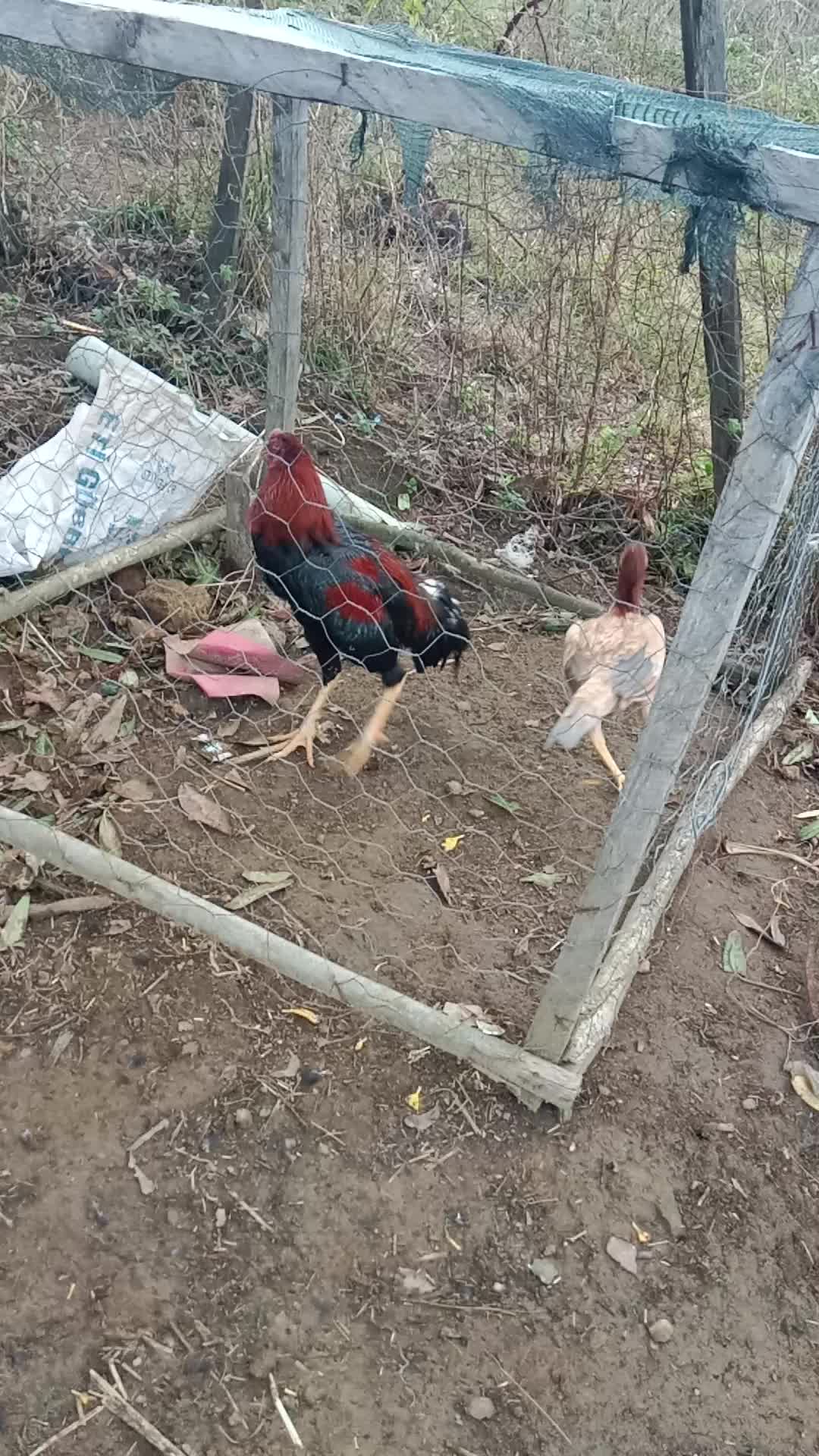 @ORDULU M&Uuml;SL&Uuml;M
