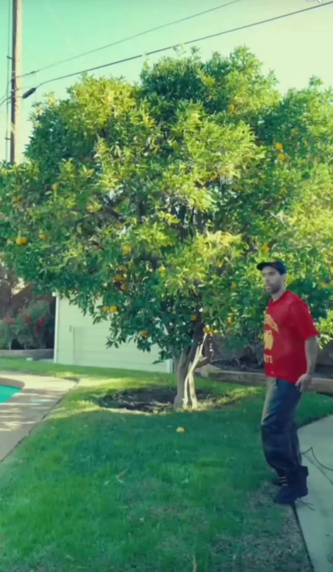 @KingKutt