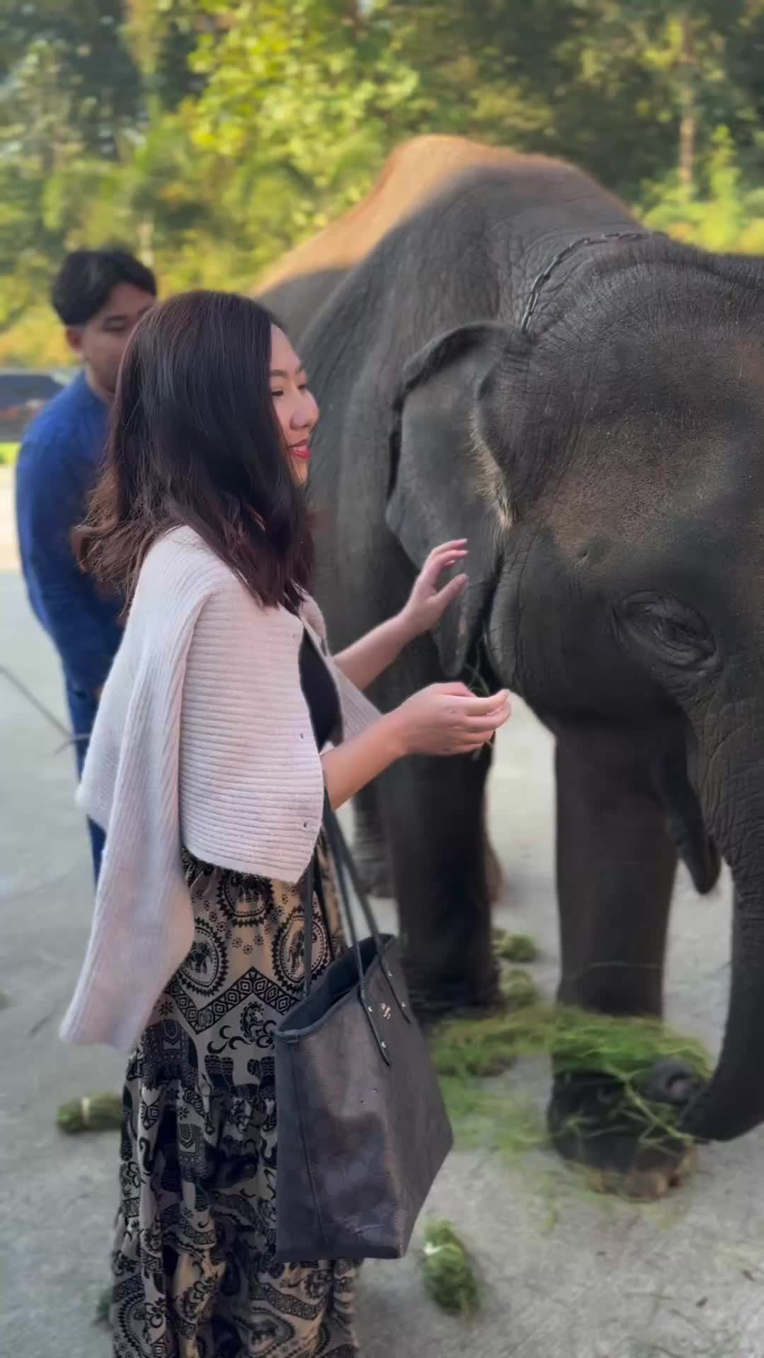 @Qvy Boonchanawiwat