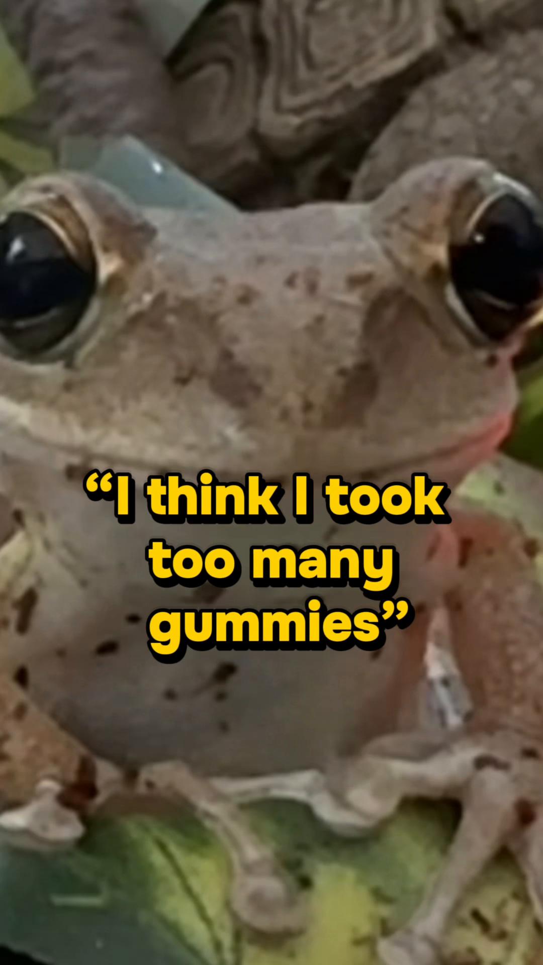 @originalSinkfrog