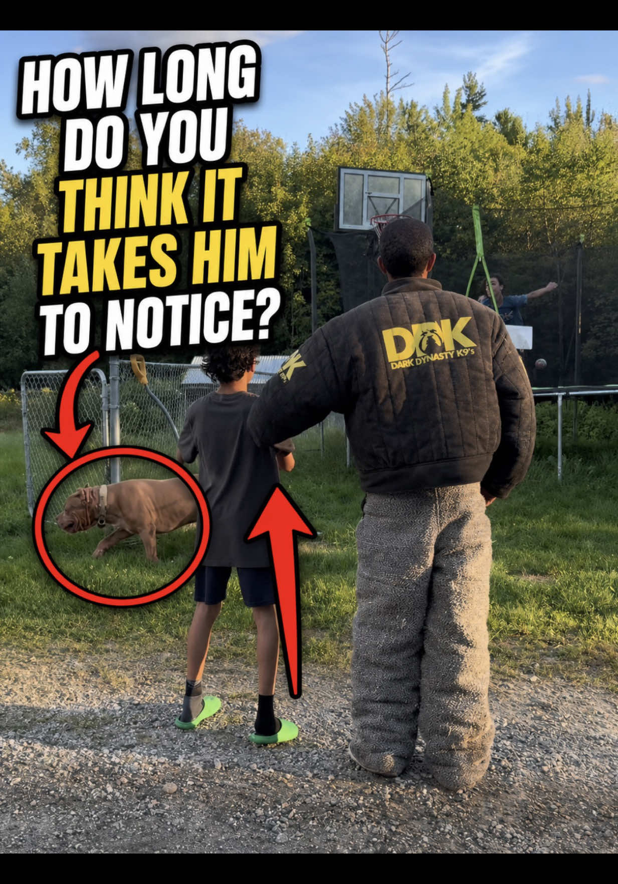 @DarkDynastyK9s
