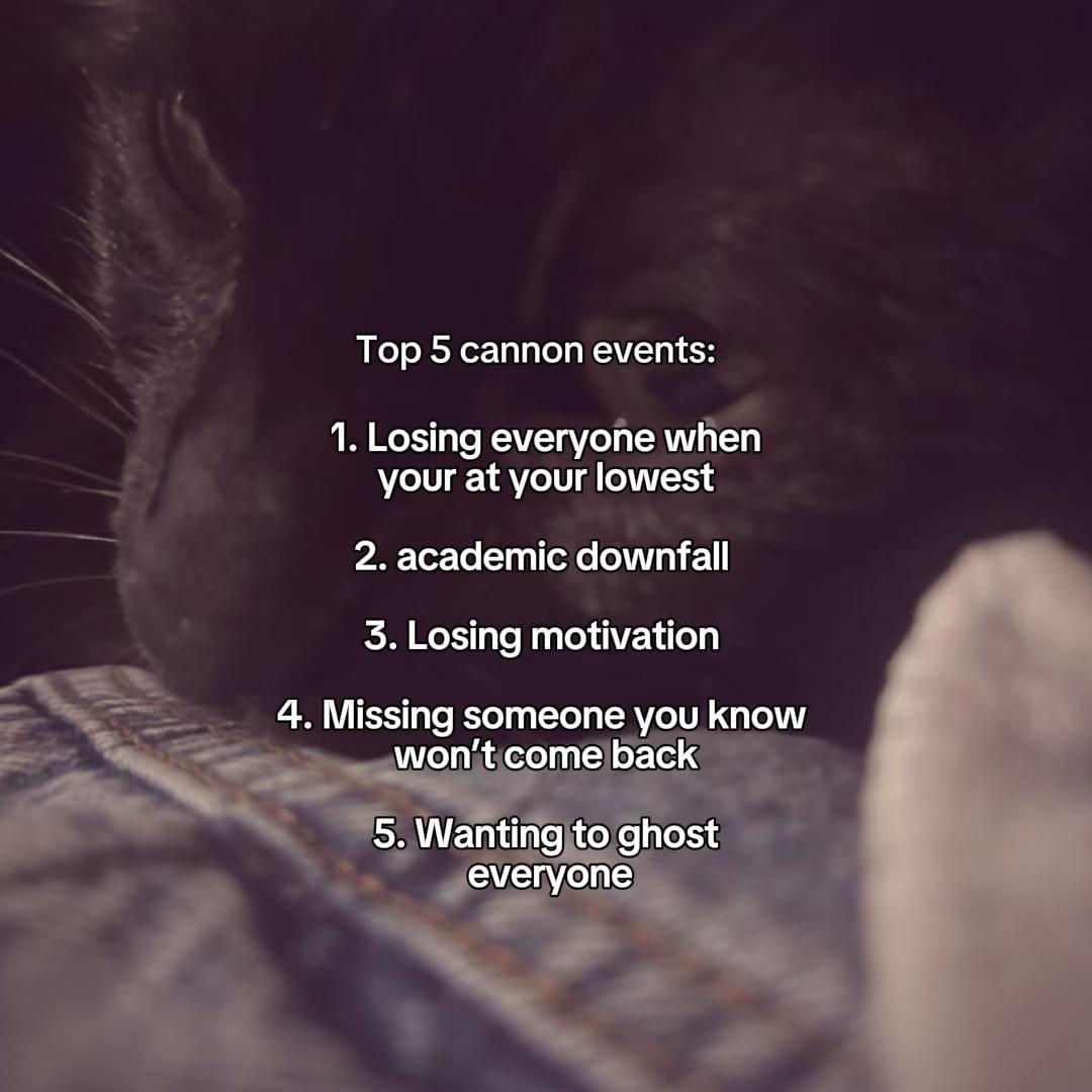 @CHARMANDER THE CAT!!