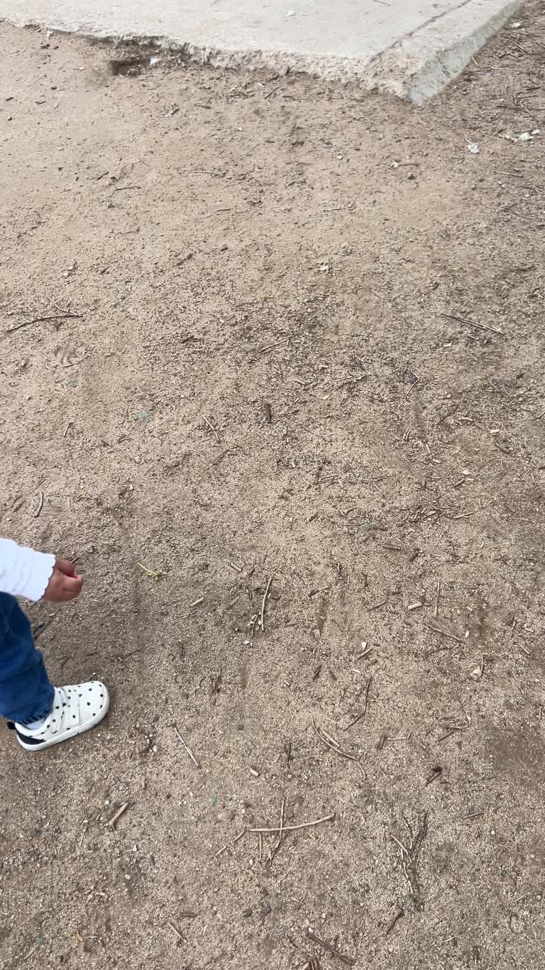 @Zacarias