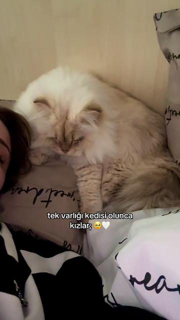 @holaesma