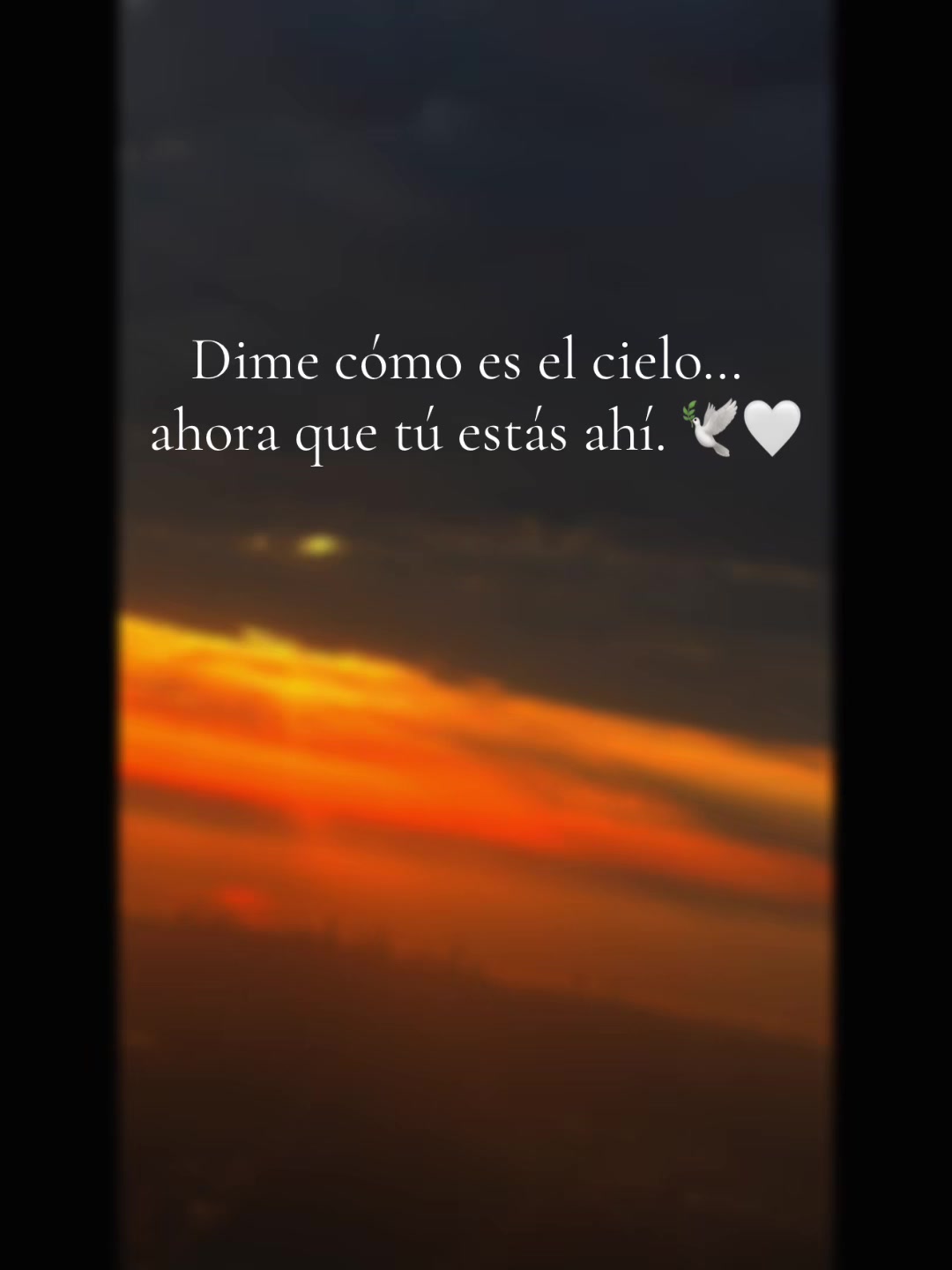 @estrellitadiaries✨