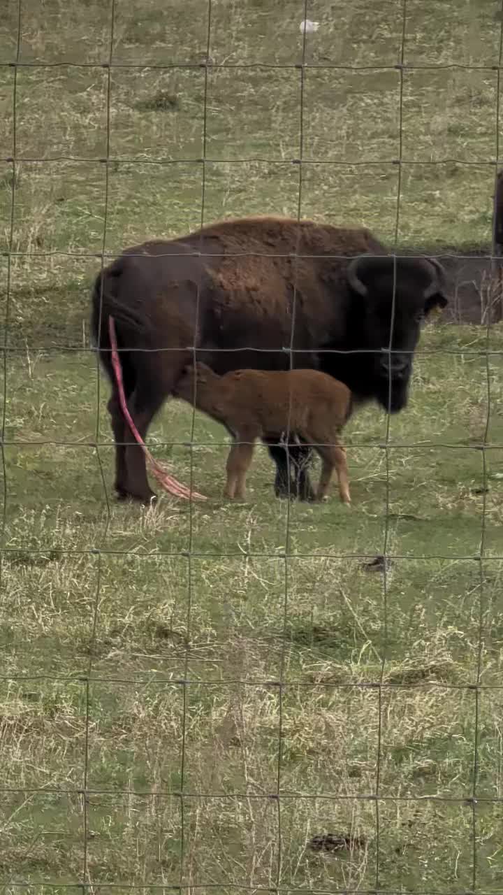 @M.