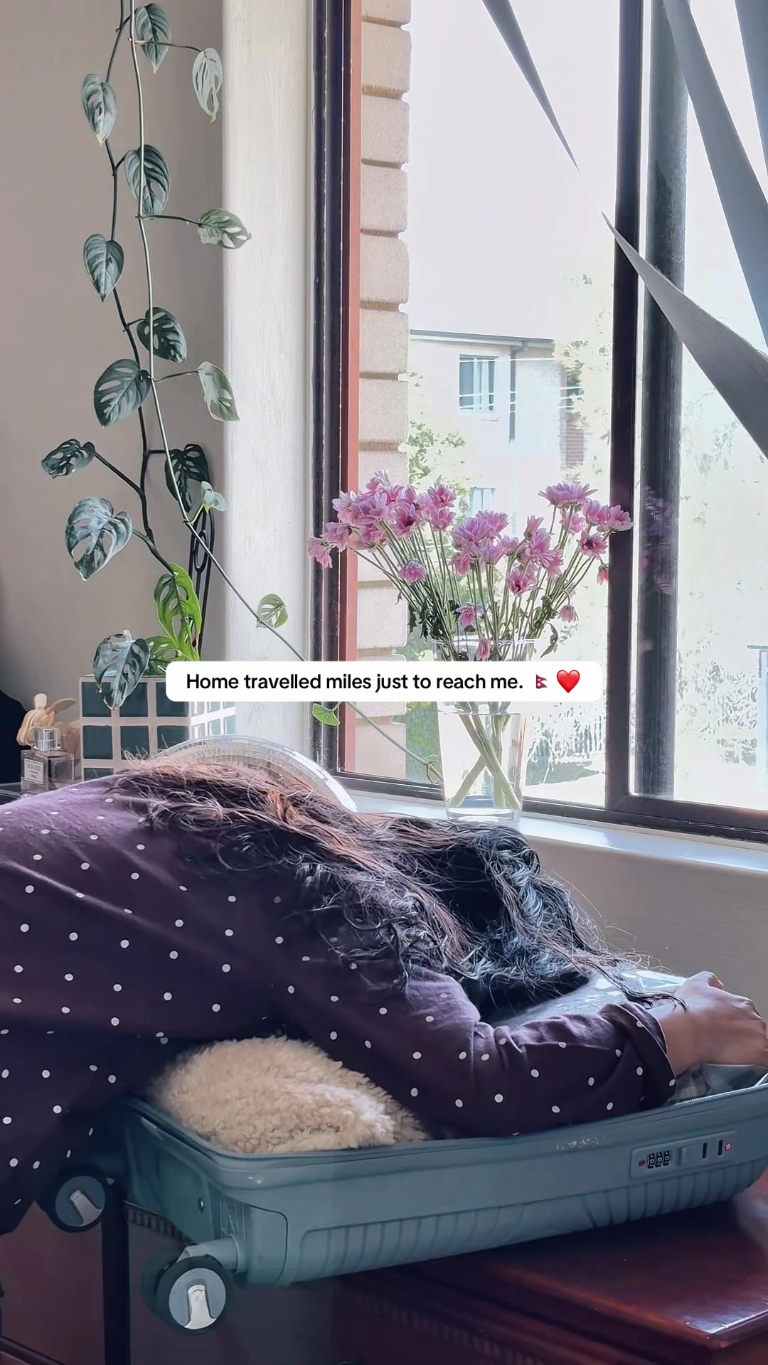 @SushinMoments 💗