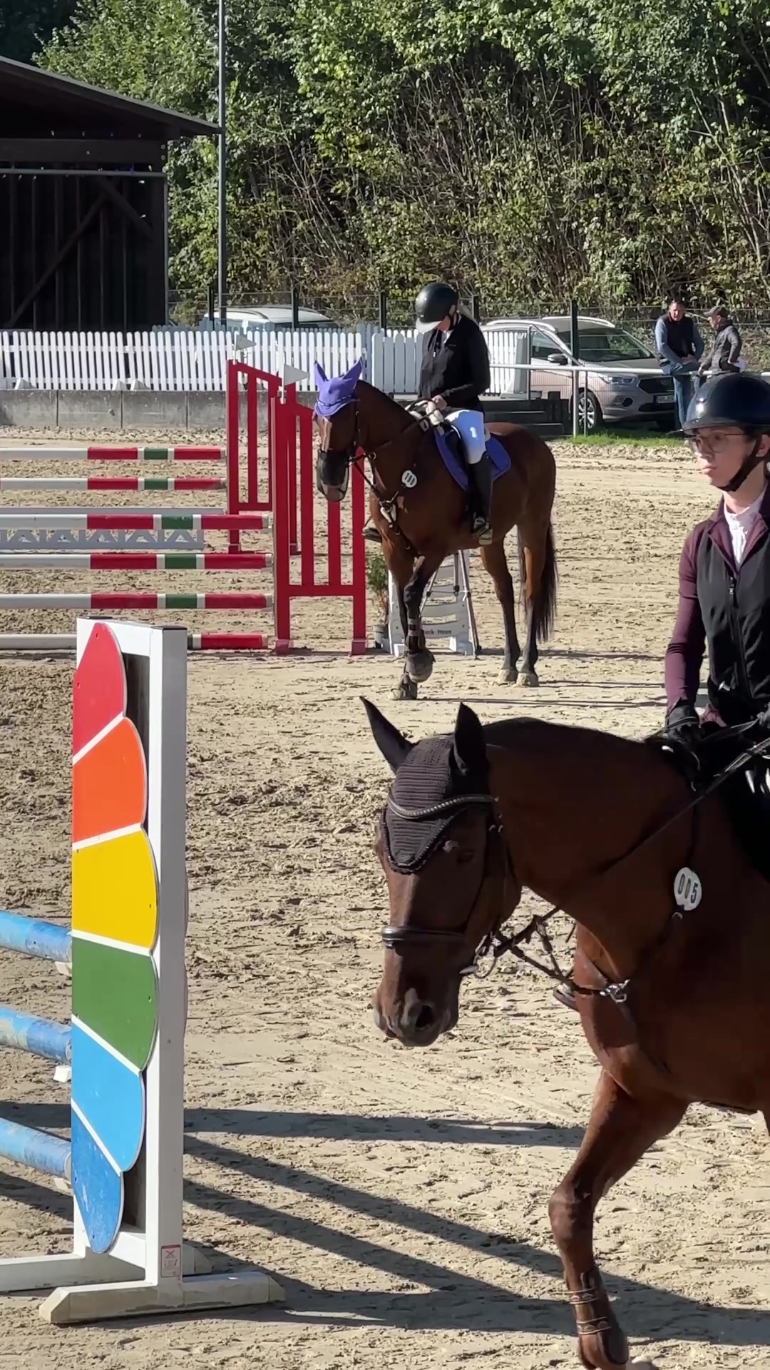 @callitoos.horselife