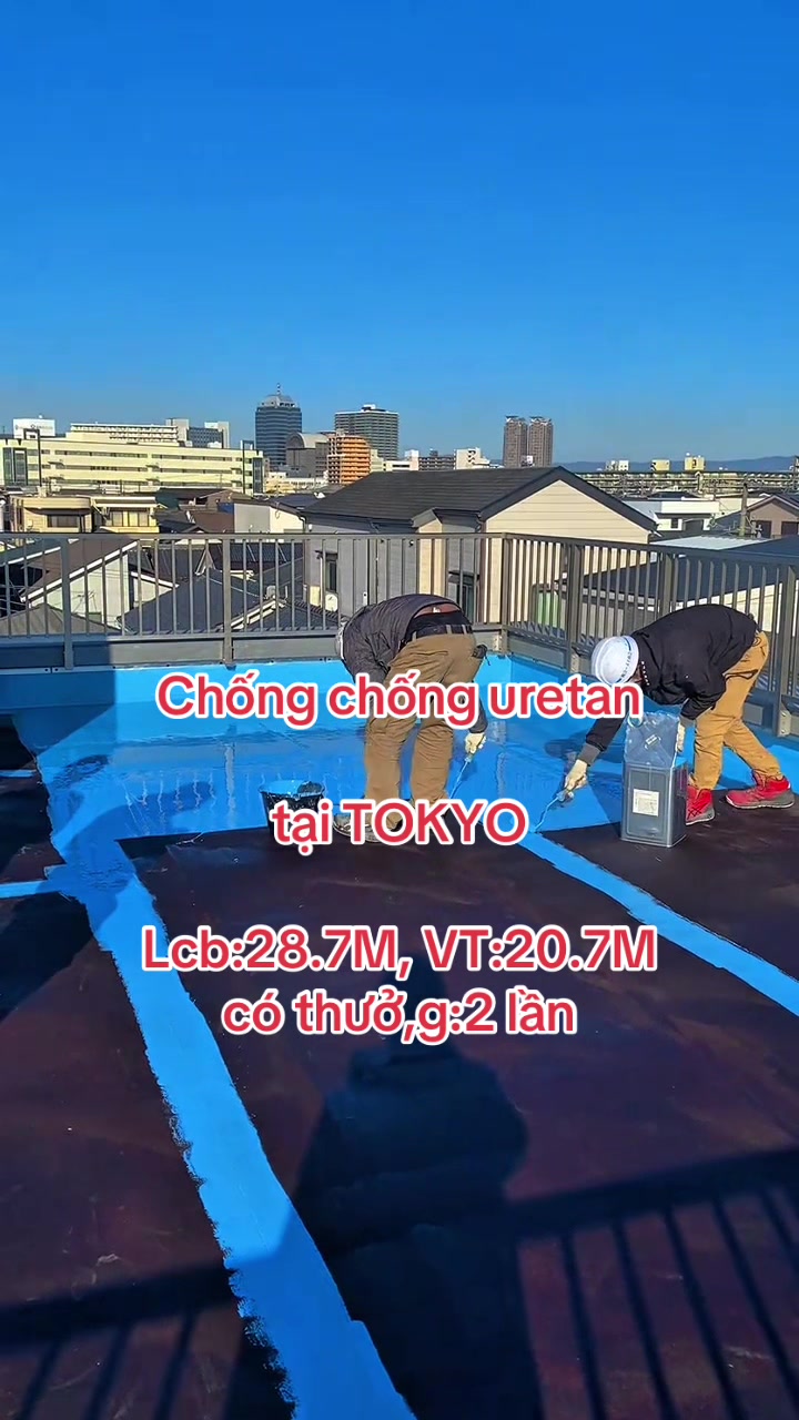 @Lưu Lam