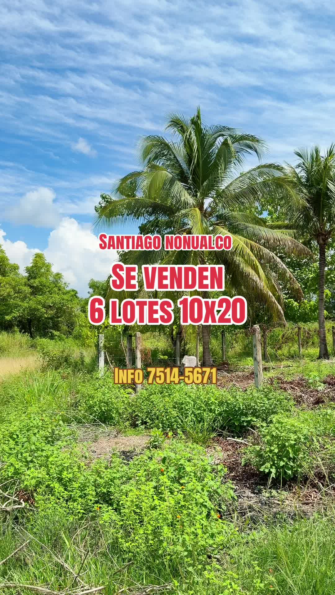 @Marco Ortiz🧸