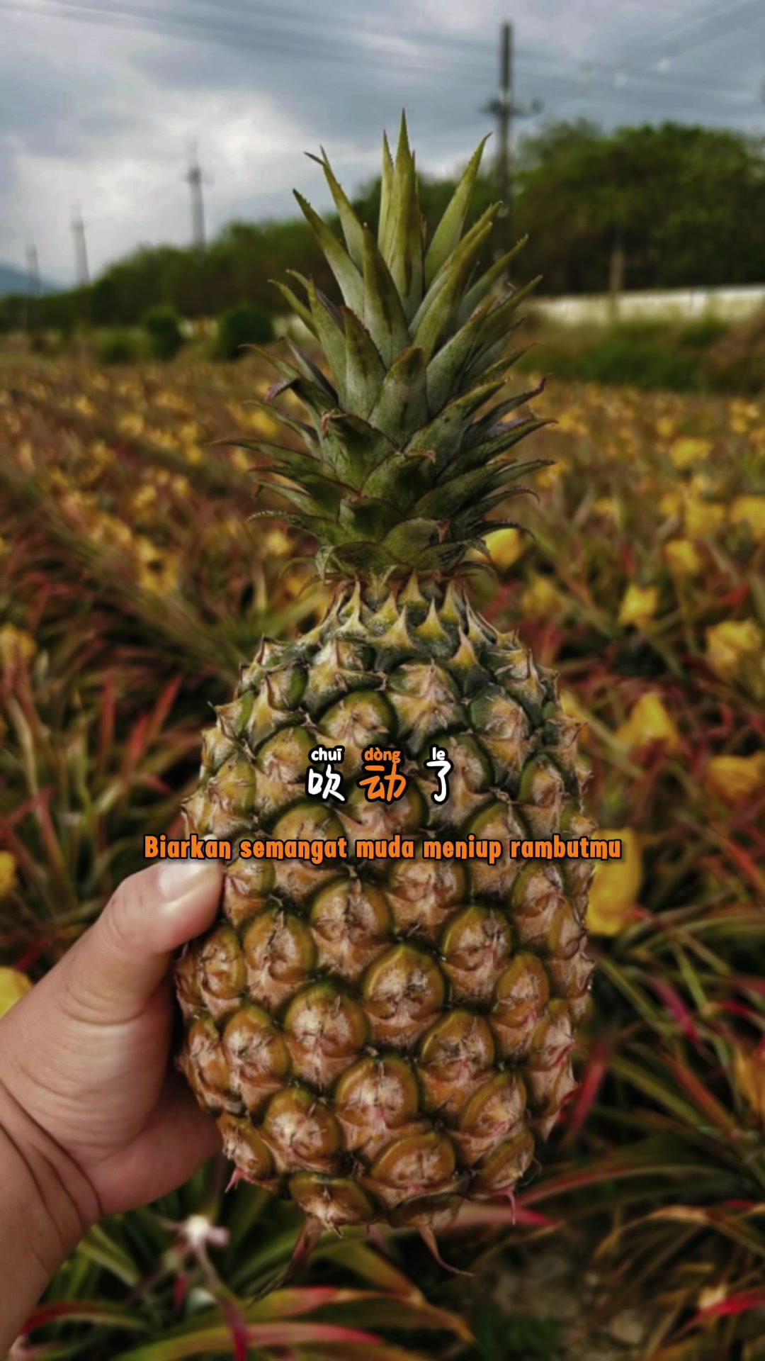 @格蘭路思