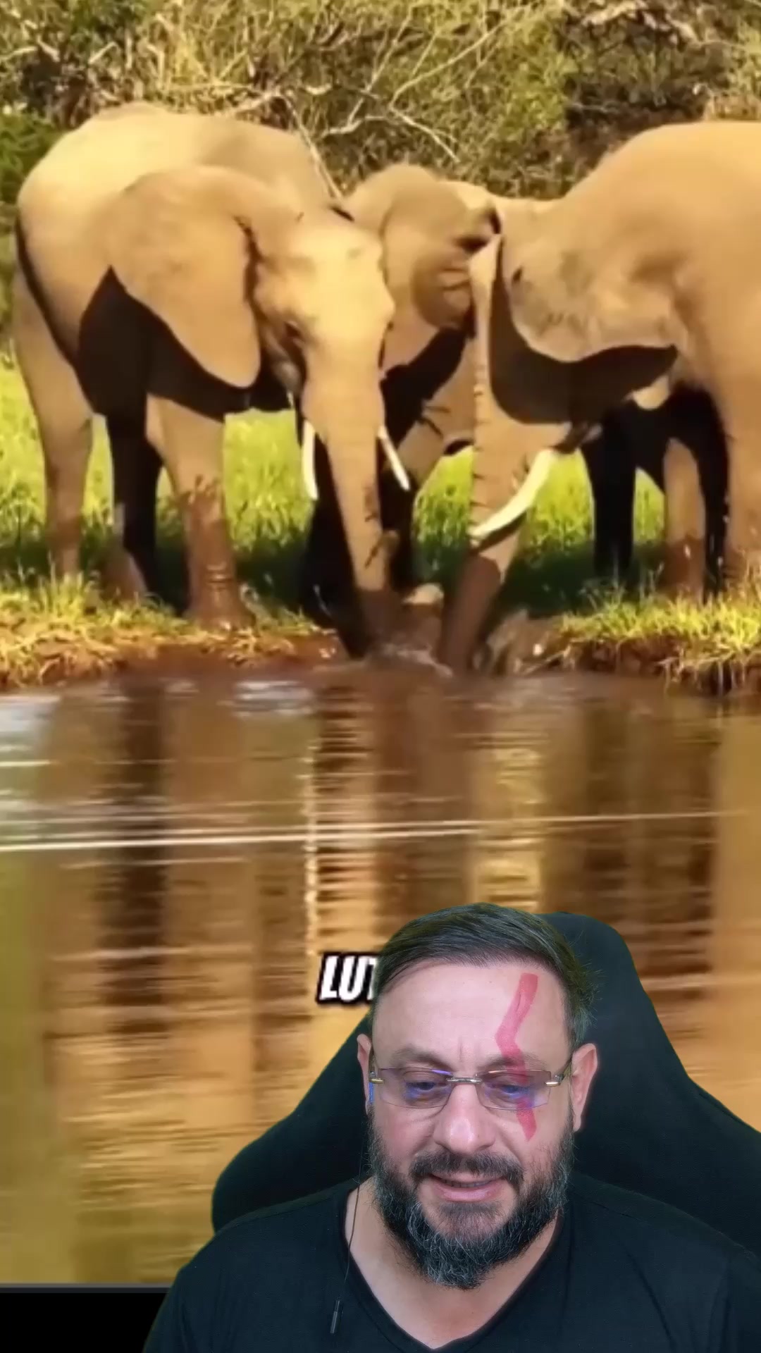 @Biólogo Henrique