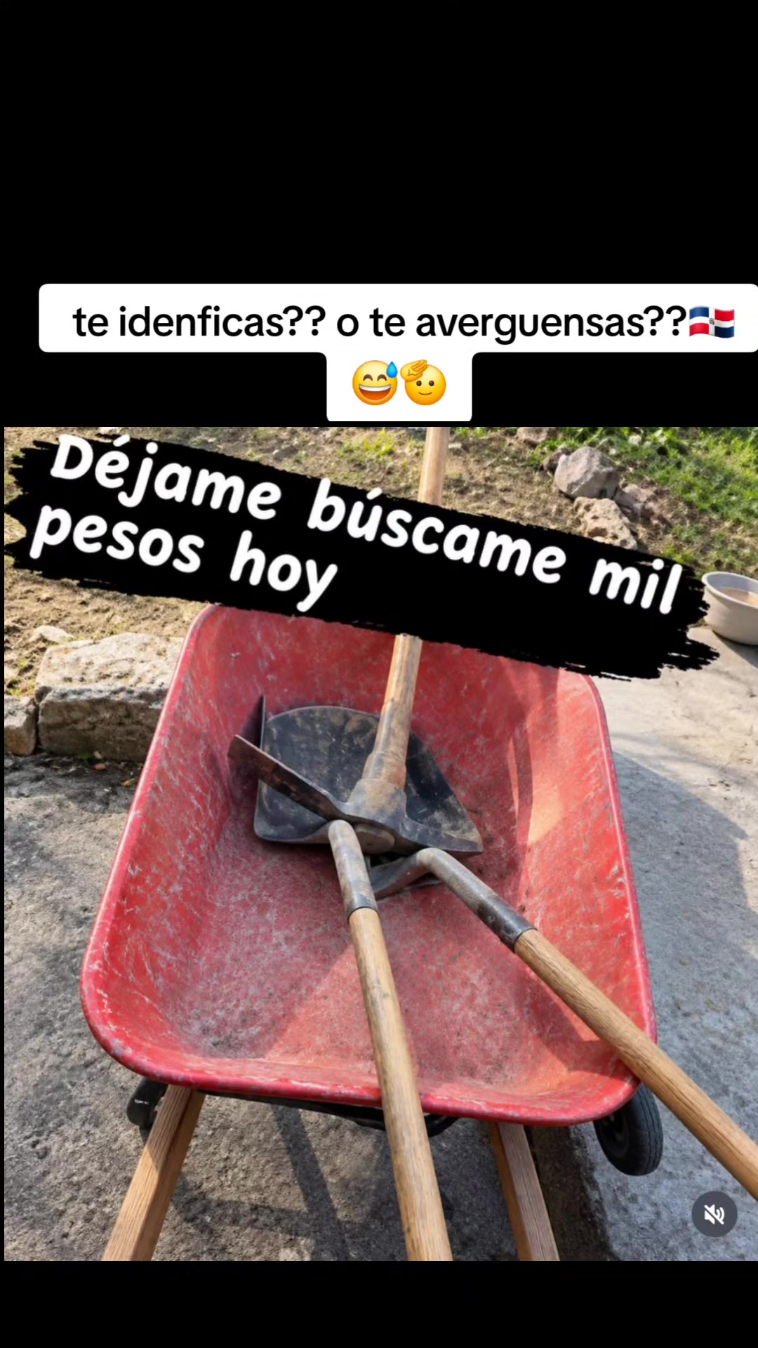 @Miguel Medina oficial
