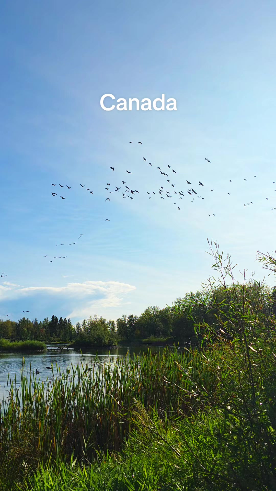 @Lost In Canada
