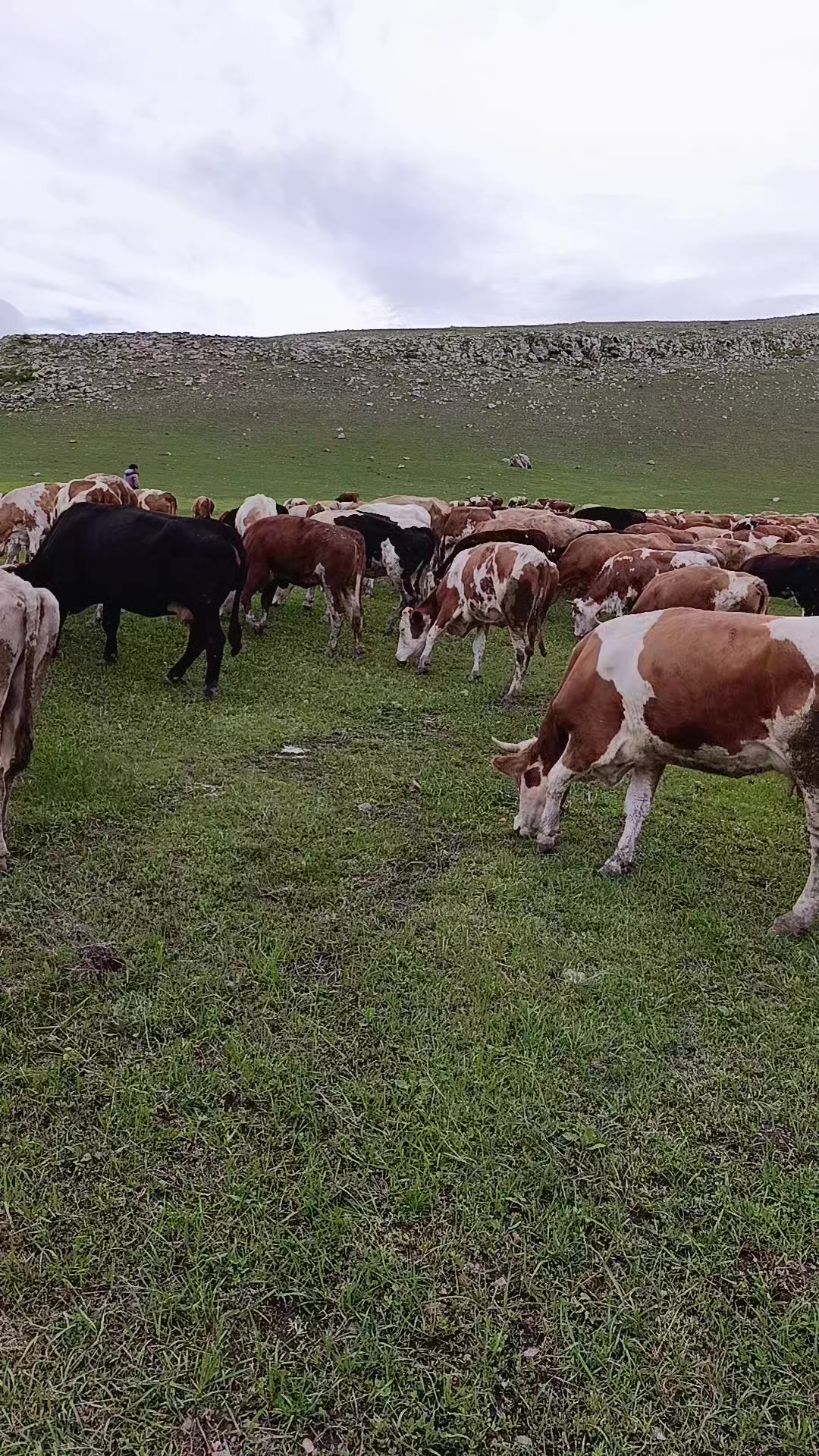 @FERHAT ÇUKU 76☀️