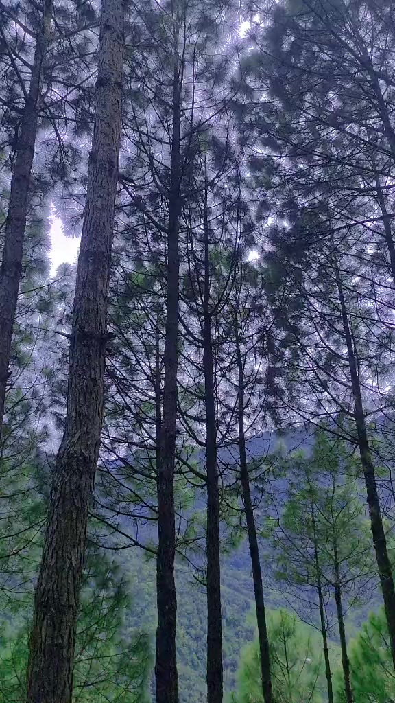 @👑xꋊ𝗶ŕà𐌽𝕛ꪋ𐌽x🔥
