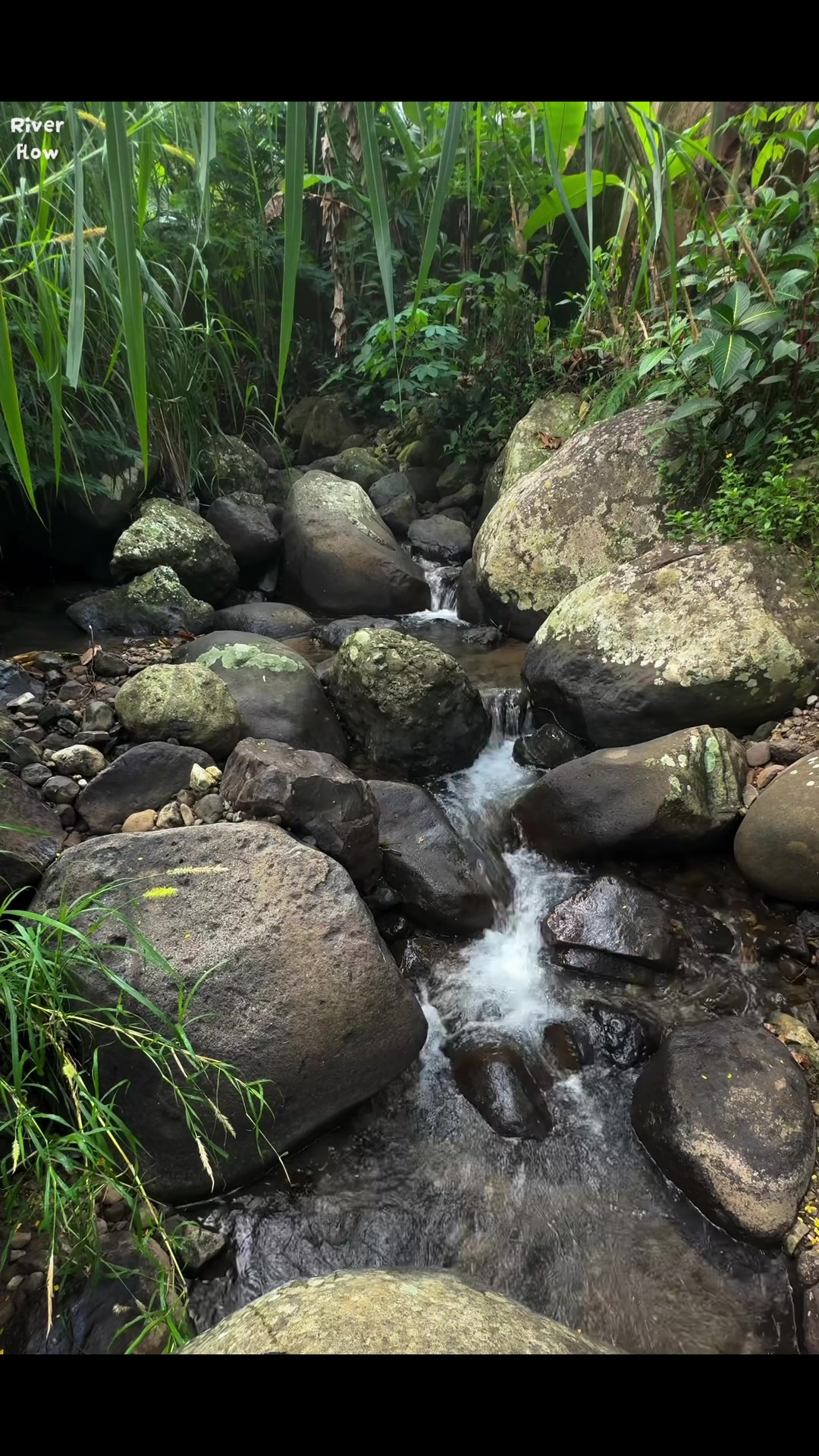 @River Flow