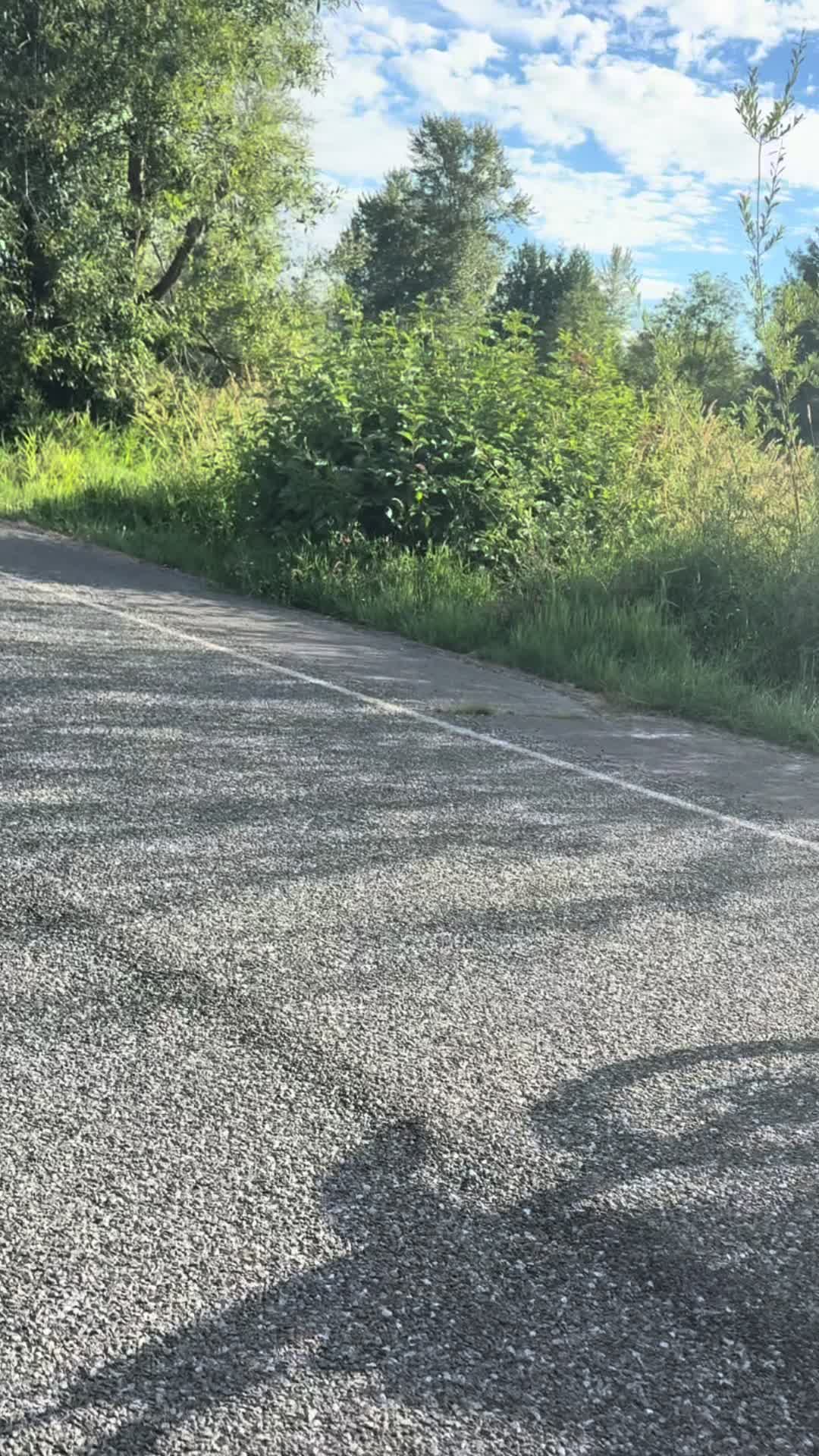 @360moto