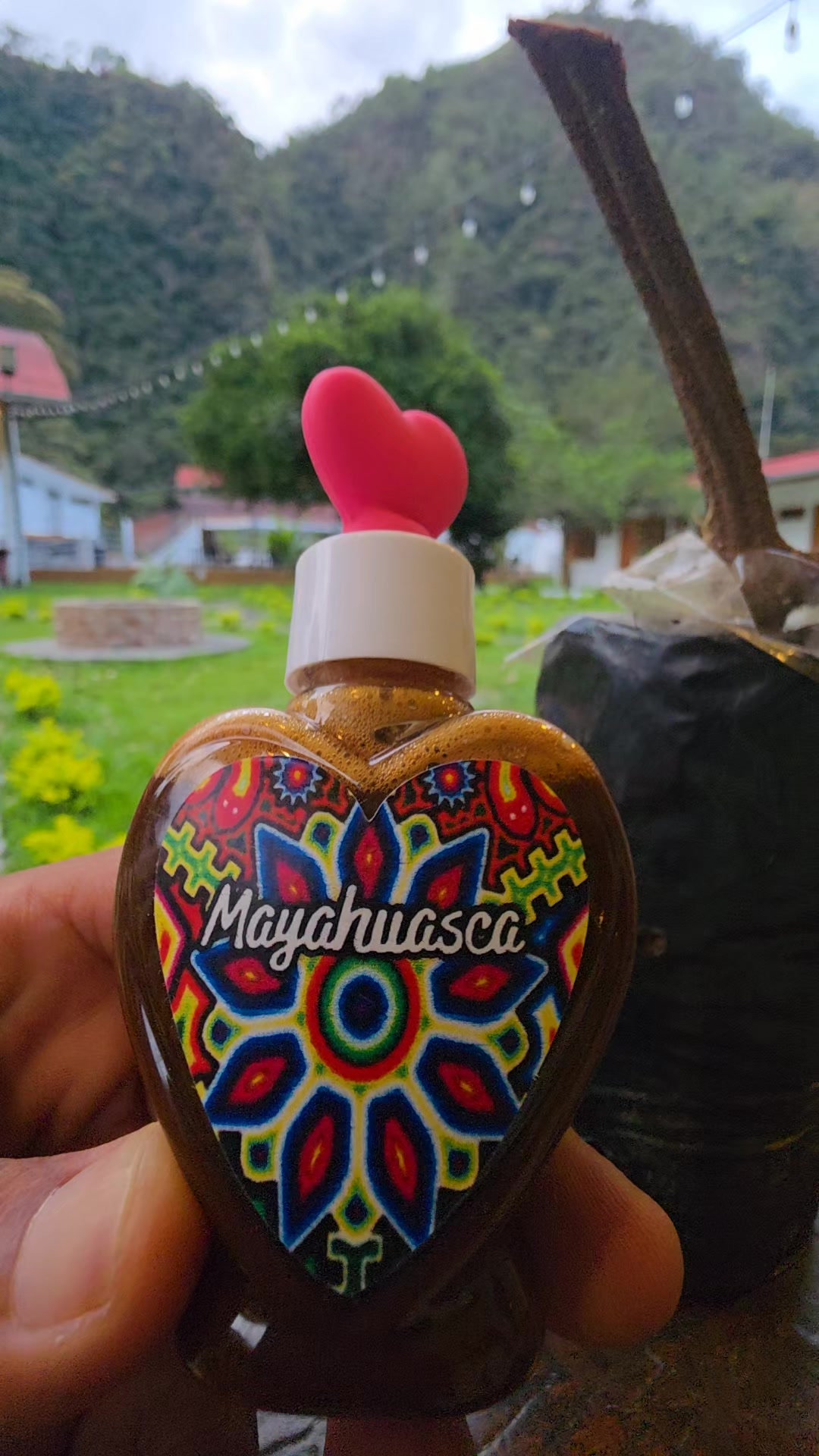 @Mayahuasca❤️
