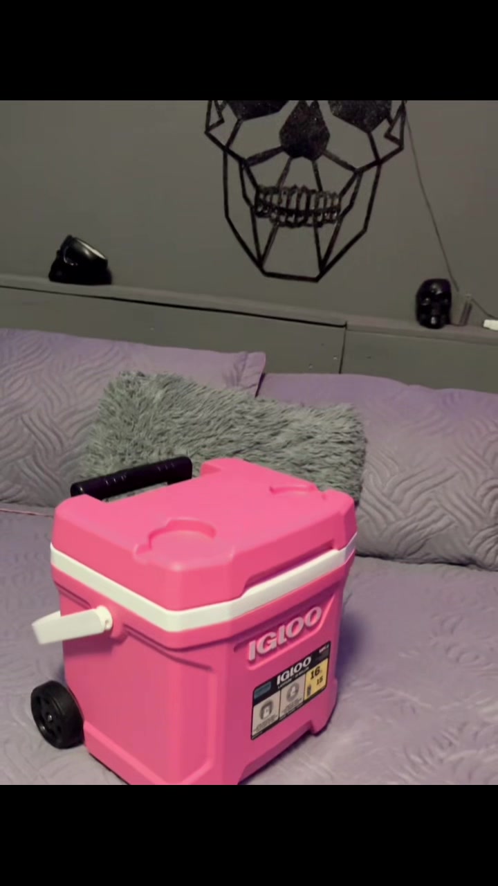 @𝑳𝒊𝒄.𝑰𝒔𝒆𝒍 ꛕͲ💕💀
