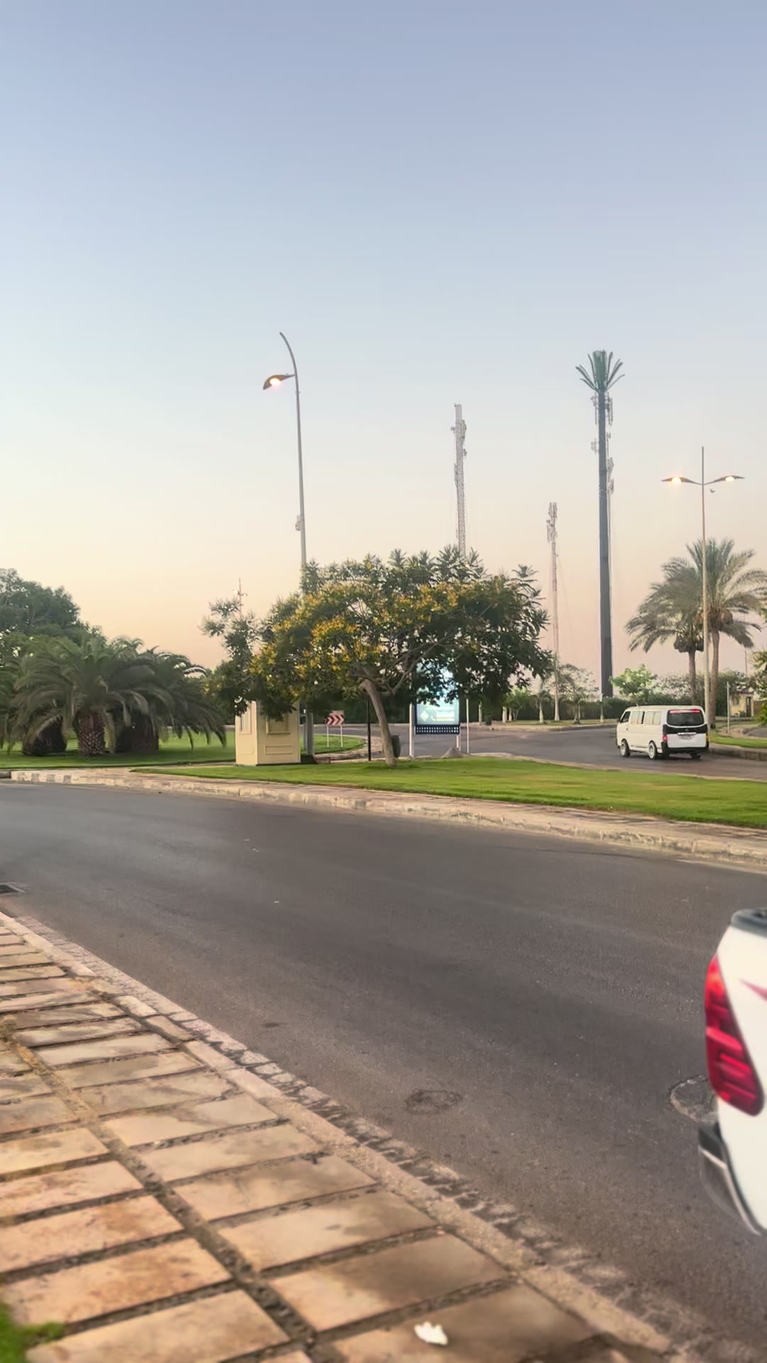 @محمدالاحيوي